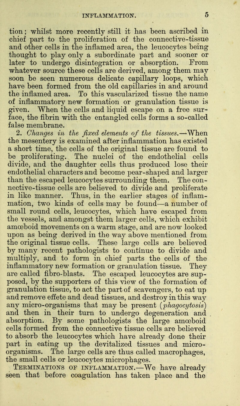 tion; whilst more recently still it lias been ascribed in chief part to the proliferation of the connective-tissue and other cells in the inflamed area, the leucocytes being thought to play only a subordinate part and sooner or later to undergo disintegration or absorption. Erom whatever source these cells are derived, among them may soon be seen numerous delicate capillary loops, which have been formed from the old capillaries in and around the inflamed area. To this vascularized tissue the name of inflammatory new formation or granulation tissue is given. When the cells and liquid escape on a free sur- face, the fibrin with the entangled cells forms a so-called false membrane. 2. Changes in the fixed elements of the tissues,—When the mesentery is examined after inflammation has existed a short time, the cells of the original tissue are found to be proliferating. The nuclei of the endothelial cells divide, and the daughter cells thus produced lose their endothelial characters and become pear-shaped and larger than the escaped leucocytes surrounding them. The con- nective-tissue cells are believed to divide and proliferate in like manner. Thus, in the earlier stages of inflam- mation, two kinds of cells may be found—a number of small round cells, leucocytes, which have escaped from the vessels, and amongst them larger cells, which exhibit amoeboid movements on a warm stage, and are now looked upon as being derived in the way above mentioned from the original tissue cells. These large cells are believed by many recent pathologists to continue to divide and multiply, and to form in chief parts the cells of the inflammatory new formation or granulation tissue. They are called fibro-blasts. The escaped leucocytes are sup- posed, by the supporters of this view of the formation of granulation tissue, to act the part of scavengers, to eat up and remove effete and dead tissues, and destroy in this way any micro-organisms that may be present {phagocytosis) and then in their turn to undergo degeneration and absorption. By some pathologists the large amoeboid cells formed from the connective tissue cells are believed to absorb the leucocytes which have already done their part in eating up the devitalized tissues and micro- organisms. The large cells are thus called macrophages, the small cells or leucocytes microphages. Terminations or inflammation.—We have already seen that before coagulation has taken place and the