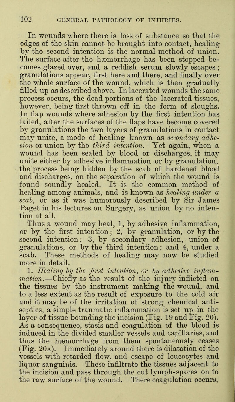 In wouuds where there is loss of substance so that the edges of the skin cannot be brought into contact, healing by the second intention is the normal method of union. The surface after the haemorrhage has been stopped be- comes glazed over, and a reddish serum slowly escapes; granulations appear, first here and there, a,nd finally over the whole surface of the wound, which is then gradually filled up as described above. In lacerated wounds the same process occurs, the dead portions of the lacerated tissues, however, being first thrown off in the form of sloughs. In flap wounds where adhesion by the first intention has failed, after the surfaces of the flaps have become covered by granulations the two layers of granulations in contact may unite, a mode of healing known as secondary adhe- sion or union by the third intention. Yet again, when a wound has been sealed by blood or discharges, it may unite either by adhesive inflammation or by granulation, the process being hidden by the scab of hardened blood and discharges, on the separation of which the wound is found soundly healed. It is the common method of healing among animals, and is known as healing under a seal), or as it was humorously described by Sir James Paget in his lectures on Surgery, as union by no inten- tion at all. Thus a wound may heal, 1, by adhesive inflammation, or by the first intention; 2, by granulation, or by the second intention; 3, by secondary adhesion, union of granulations, or by the third intention; and 4, under a scab. These methods of healing may now be studied more in detail. 1. Healing hy the first intention, or hy adhesive inflam- mation.—Chiefly as the result of the injury inflicted on the tissues by the instrument making the wound, and to a less extent as the result of exposure to the cold air and it may be of the irritation of strong chemical anti- septics, a simple traumatic inflammation is set up in the layer of tissue bounding the incision (Fig. 19 and Fig. 20). As a consequence, stasis and coagulation of the blood is induced in the divided smaller vessels and capillaries, and thus the haemorrhage from them spontaneously ceases (Fig. 20a). Immediately around there is dilatation of the vessels with retarded flow, and escape of leucocytes and liquor sanguinis. These infiltrate the tissues adjacent to the incision and pass through the cut lymph-spaces on to the raw surface of the wound. There coagulation occurs,