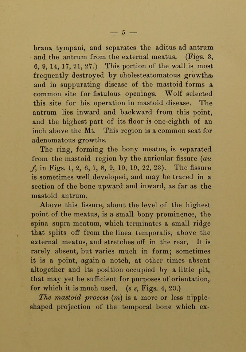 brana tympani, and separates the aditus ad antrum and the antrum from the external meatus. (Figs. 3, 6, 9, 14, 17, 21, 27.) This portion of the wall is most frequently destroyed by cholesteatomatous growths* and in suppurating disease of the mastoid forms a common site for fistulous openings. Wolf selected this site for his operation in mastoid disease. The antrum lies inward and backward from this point, and the highest part of its floor is one-eighth of an inch above the Mt. This region is a common seat for adenomatous growths. The ring, forming the bony meatus, is separated from the mastoid region by the auricular fissure (au f, in Figs. 1, 2, 6, 7, 8, 9, 10, 19, 22, 23). The fissure is sometimes well developed, and may be traced in a section of the bone upward and inward, as far as the mastoid antrum. Above this fissure, about the level of the highest point of the meatus, is a small bony prominence, the spina supra meatum, which terminates a small ridge that splits off from the linea temporalis, above the external meatus, and stretches off in the rear. It is rarely absent, but varies much in form; sometimes it is a point, again a notch, at other times absent altogether and its position occupied by a little pit, that may yet be sufficient for purposes of orientation, for which it is much used, (s s, Figs. 4, 23.) The mastoid 'process (m) is a more or less nipple- shaped projection of the temporal bone which ex-