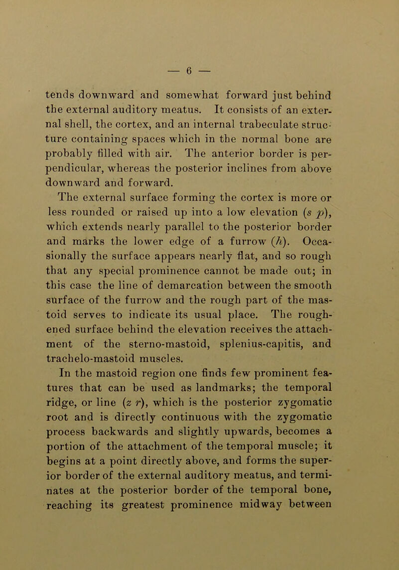 tends downward and somewhat forward just behind the external auditory meatus. It consists of an exter- nal shell, the cortex, and an internal trabeculate struc- ture containing spaces which in the normal bone are probably filled with air. The anterior border is per- pendicular, wThereas the posterior inclines from above downward and forward. The external surface forming the cortex is more or less rounded or raised up into a low elevation (s p), which extends nearly parallel to the posterior border and marks the lower edge of a furrow (.h). Occa- sionally the surface appears nearly flat, and so rough that any special prominence cannot be made out; in this case the line of demarcation between the smooth surface of the furrow and the rough part of the mas- toid serves to indicate its usual place. The rough- ened surface behind the elevation receives the attach- ment of the sterno-mastoid, splenius-capitis, and trachelo-mastoid muscles. In the mastoid region one finds few prominent fea- tures that can be used as landmarks; the temporal ridge, or line (z r), which is the posterior zygomatic root and is directly continuous with the zygomatic process backwards and slightly upwards, becomes a portion of the attachment of the temporal muscle; it begins at a point directly above, and forms the super- ior border of the external auditory meatus, and termi- nates at the posterior border of the temporal bone, reaching its greatest prominence midway between