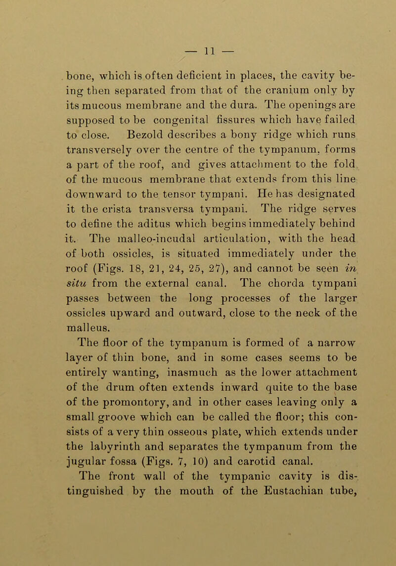 bone, which is often deficient in places, the cavity be- ing then separated from that of the cranium only by its mucous membrane and the dura. The openings are supposed to be congenital fissures which have failed to close. Bezold describes a bony ridge which runs transversely over the centre of the tympanum, forms a part of the roof, and gives attachment to the fold of the mucous membrane that extends from this line downward to the tensor tympani. He has designated it the crista transversa tympani. The ridge serves to define the aditus which begins immediately behind it. The malleo-incudal articulation, with the head of both ossicles, is situated immediately under the roof (Figs. 18, 21, 24, 25, 27), and cannot be seen in situ from the external canal. The chorda tympani passes between the long processes of the larger ossicles upward and outward, close to the neck of the malleus. The floor of the tympanum is formed of a narrow layer of thin bone, and in some cases seems to be entirely wanting, inasmuch as the lower attachment of the drum often extends inward quite to the base of the promontory, and in other cases leaving only a small groove which can be called the floor; this con- sists of a very thin osseous plate, which extends under the labyrinth and separates the tympanum from the jugular fossa (Figs. 7, 10) and carotid canal. The front wall of the tympanic cavity is dis- tinguished by the mouth of the Eustachian tube,