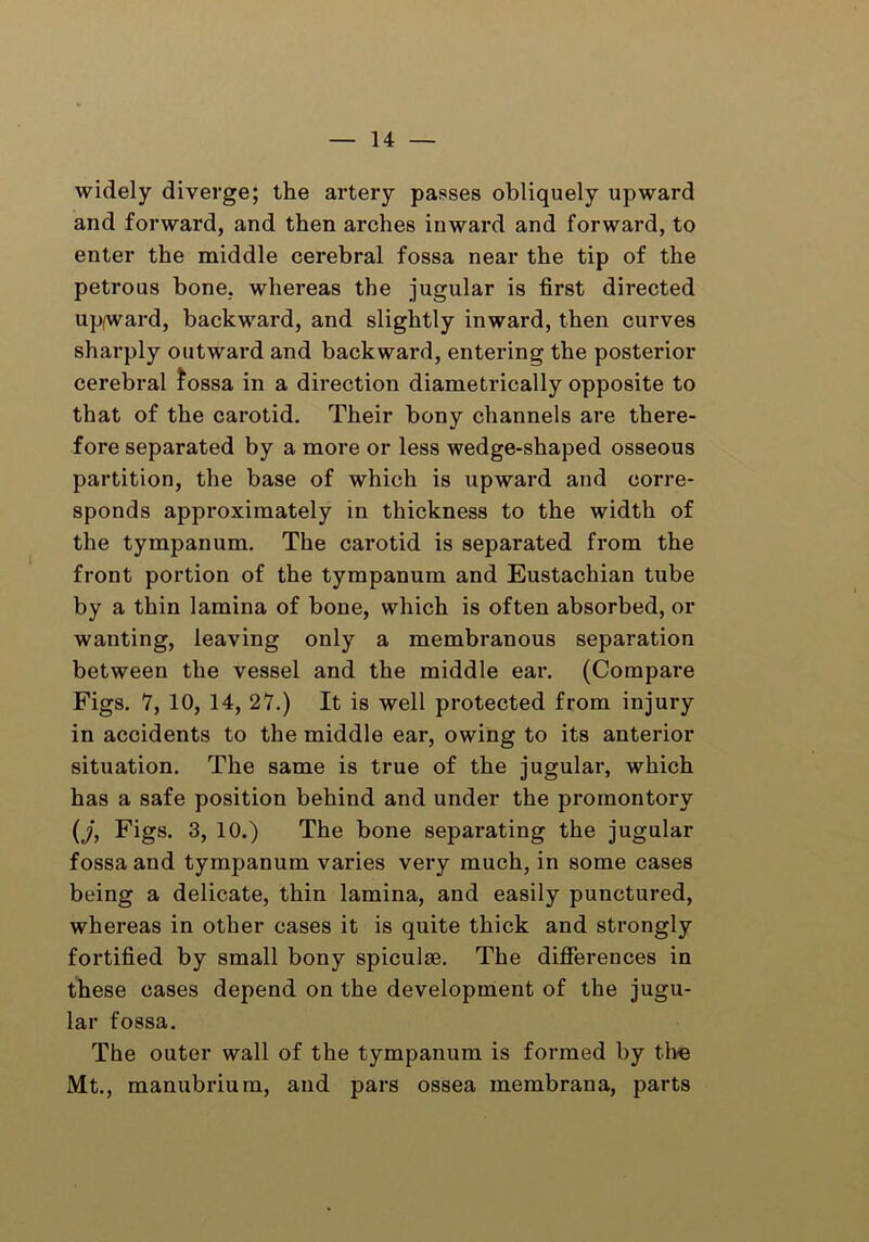 widely diverge; the artery passes obliquely upward and forward, and then arches inward and forward, to enter the middle cerebral fossa near the tip of the petrous bone, whereas the jugular is first directed upfward, backward, and slightly inward, then curves sharply outward and backward, entering the posterior cerebral fossa in a direction diametrically opposite to that of the carotid. Their bony channels are there- fore separated by a more or less wedge-shaped osseous partition, the base of which is upward and corre- sponds approximately in thickness to the width of the tympanum. The carotid is separated from the front portion of the tympanum and Eustachian tube by a thin lamina of bone, which is often absorbed, or wanting, leaving only a membranous separation between the vessel and the middle ear. (Compare Figs. 7, 10, 14, 27.) It is well protected from injury in accidents to the middle ear, owing to its anterior situation. The same is true of the jugular, which has a safe position behind and under the promontory (j, Figs. 3, 10.) The bone separating the jugular fossa and tympanum varies very much, in some cases being a delicate, thin lamina, and easily punctured, whereas in other cases it is quite thick and strongly fortified by small bony spiculae. The differences in these cases depend on the development of the jugu- lar fossa. The outer wall of the tympanum is formed by the Mt., manubrium, and pars ossea membrana, parts