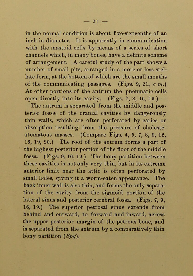 in the normal condition is about five-sixteenths of an inch in diameter. It is apparently in communication with the mastoid cells by means of a series of short channels which, in many bones, have a definite scheme of arrangement. A careful study of the part shows a number of small pits, arranged in a more or less stel- late form, at the bottom of which are the small mouths of the communicating passages. (Figs. 9, 21, c m.) At other portions of the antrum the pneumatic cells open directly into its cavity. (Figs. 7, 8, 16, 19.) The antrum is separated from the middle and pos- terior fossae of the cranial cavities by dangerously thin walls, which are often perforated by caries or absorption resulting from the pressure of choleste- atomatous masses. (Compare Figs. 4, 5, 7, 8, 9, 12, 16, 19, 20.) The roof of the antrum forms a part of the highest posterior portion of the floor of the middle fossa. (Figs. 9, 16, 19.) The bony partition between these cavities is not only very thin, but in its extreme anterior limit near the attic is often perforated by small holes, giving it a worm-eaten appearance. The back inner wall is also thin, and forms the only separa- tion of the cavity from the sigmoid portion of the lateral sinus and posterior cerebral fossa. (Figs. 7, 9, 16, 19.) The superior petrosal sinus extends from behind and outward, to forward and inward, across the upper posterior mai’gin of the petrous bone, and is separated from the antrum by a comparatively thin bony partition {Spy).