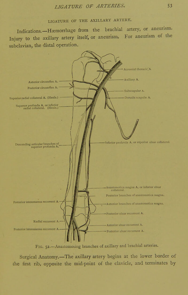 LIGATURE OF THE AXILLARY ARTERY. Indications.-Hjemorrhage from the brachial artery, or aneurism. Injury to the axillary artery itself, or aneurism. For aneurism of the subclavian, the distal operation. Anterior circumflex A. Posterior circumflex A. Superior radial collateral A. (Henle.) Superior profunda A. or inferior radial collateral. (Henle.* Acromial tlioracic^A. Axillary A. - Subscapular A. Dorsalis scapulre A. Descending articular branches of superior profunda A, Inferior profuutla \. or superior ulnar collateral. Posterior interosseous recurrent A. Radial recurrent .\ Posterior interosseous recurrent A — Anastomotica magna A. or inferior ulnar collateral. Posterior branches of anastomotica maifna. Anterior branches of anastomotica magna. Posterior ulnar recurrent A. Anterior ulnar recurrent A. Posterior ulnar recurrent A. Fig. 52.—Anastomosing branches of axillary and brachial arteries. Surgical Anatomy.—The axillary artery begins at the lower border of the first rib, opposite the mid-point of the clavicle, and terminates by