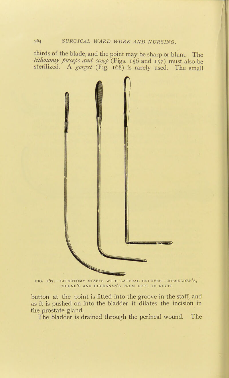 thirds of the blade, and the point may be sharp or blunt. The lithotomy forceps and scoop (Figs. 156 and 157) must also be sterilized. A gorget (Fig. 168) is rarely used. The small FIG. 167.—LITHOTOMY STAFFS WITH LATERAL GROOVES—CHESELDEN's, chiene's and Buchanan's from left to right. button at the point is fitted into the groove in the staff, and as it is pushed on into the bladder it dilates the incision in the prostate gland. The bladder is drained through the perineal wound. The