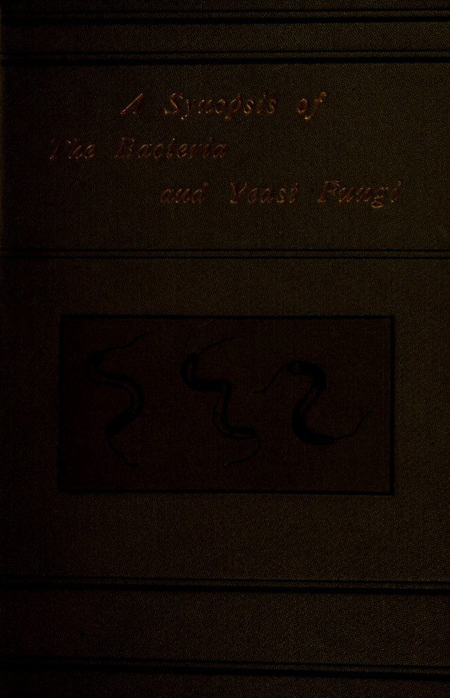 digitised image 1