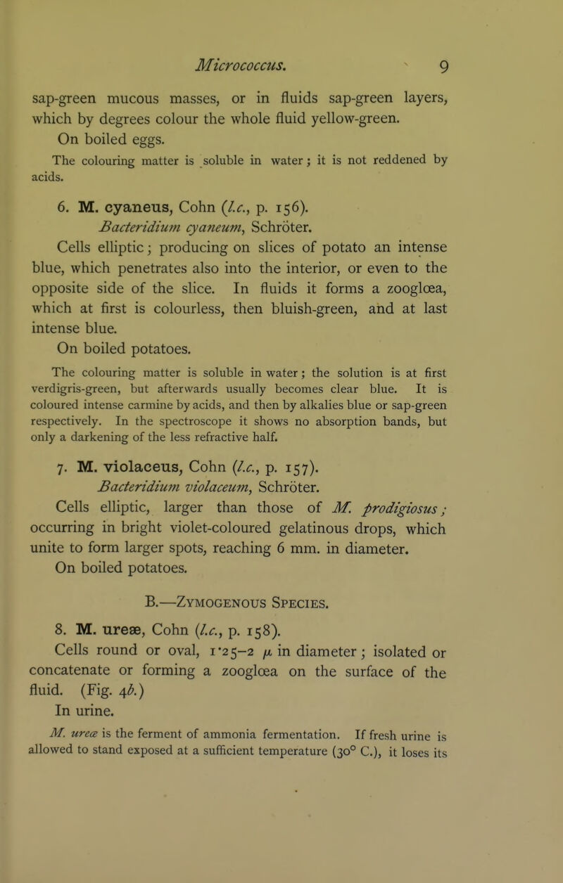 sap-green mucous masses, or in fluids sap-green layers, which by degrees colour the whole fluid yellow-green. On boiled eggs. The colouring matter is soluble in water; it is not reddened by acids. 6. M. cyaneus, Cohn {I.e., p. 156). Bacteridium cyaneum, Schroter. Cells elliptic; producing on slices of potato an intense blue, which penetrates also into the interior, or even to the opposite side of the slice. In fluids it forms a zoogloea, which at first is colourless, then bluish-green, and at last intense blue. On boiled potatoes. The colouring matter is soluble in water; the solution is at first verdigris-green, but afterwards usually becomes clear blue. It is coloured intense carmine by acids, and then by alkalies blue or sap-green respectively. In the spectroscope it shows no absorption bands, but only a darkening of the less refractive half. 7. M. violaceus, Cohn {I.e., p. 157). Baeteridium violaeeum, Schroter, Cells elliptic, larger than those of M. prodigiosus; occurring in bright violet-coloured gelatinous drops, which unite to form larger spots, reaching 6 mm. in diameter. On boiled potatoes. B.—Zymogenous Species. 8. M. ureae, Cohn {I.e., p. 158). Cells round or oval, 1*25-2 in diameter; isolated or concatenate or forming a zoogloea on the surface of the fluid. (Fig. 4^) In urine. M. urea is the ferment of ammonia fermentation. If fresh urine is allowed to stand exposed at a sufficient temperature (30° C), it loses its