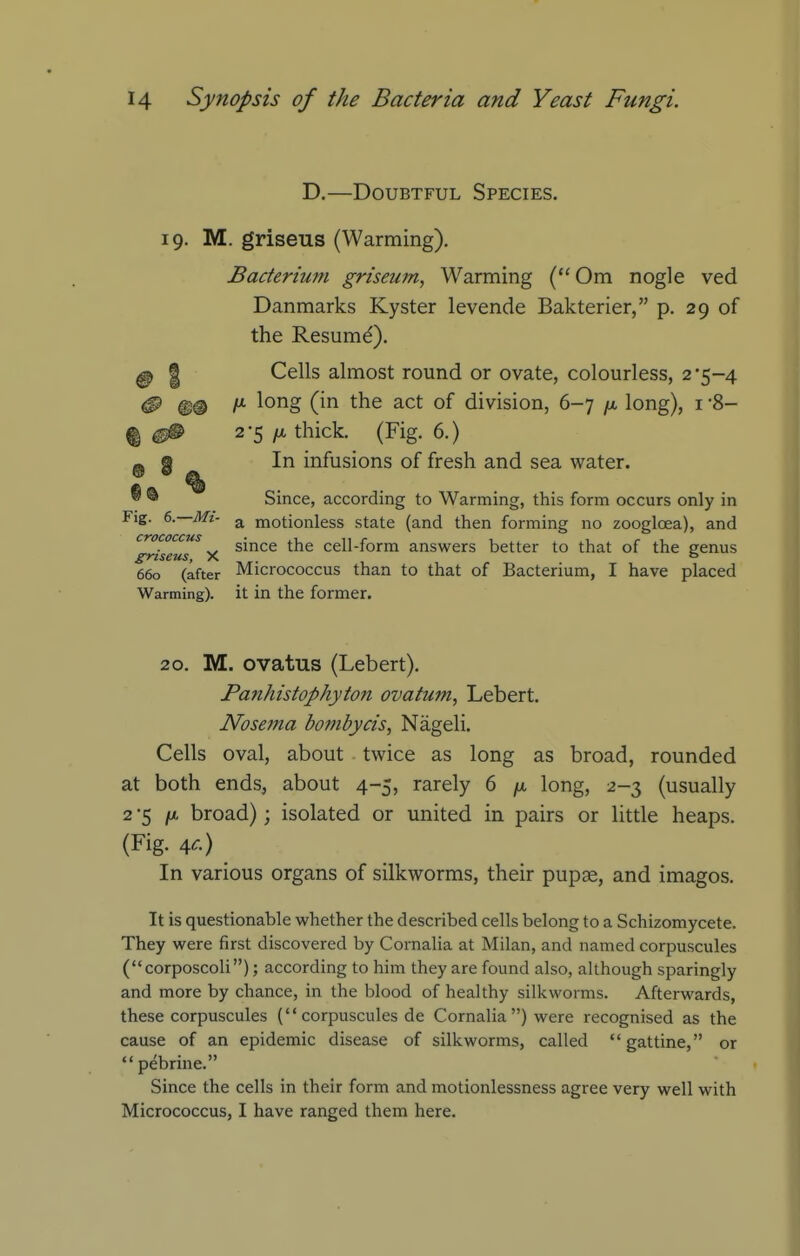 D.—Doubtful Species. 19. M. griseus (Warming). Bacterium griseum, Warming (Om nogle ved Danmarks Kyster levende Bakterier, p. 29 of the Resumd). ^ I Cells almost round or ovate, colourless, 2*5-4 ^ %® long (in the act of division, 6-7 long), i -8- %^ 2-5/A thick. (Fig. 6.) Q I In infusions of fresh and sea water. ® ® Since, according to Warming, this form occurs only in Fig. e.—Mi- ^ motionless state (and then forming no zoogloea), and crococcus since the cell-form answers better to that of the genus grtseus, X , ° 660 (after Micrococcus than to that of Bacterium, I have placed Warming), it in the former. 20. M. ovatus (Lebert). Panhistophyton ovatum, Lebert. Nose77ia bombycis, Nageli. Cells oval, about twice as long as broad, rounded at both ends, about 4-5, rarely 6 /a long, 2-3 (usually 2 -5 ju, broad); isolated or united in pairs or little heaps. (Fig. \c.) In various organs of silkworms, their pupae, and imagos. It is questionable whether the described cells belong to a Schizomycete. They were first discovered by Cornalia at Milan, and named corpuscules (corposcoli); according to him they are found also, although sparingly and more by chance, in the blood of healthy silkworms. Afterwards, these corpuscules (corpuscules de Cornalia) were recognised as the cause of an epidemic disease of silkworms, called gattine, or pebrine. Since the cells in their form and motionlessness agree very well with Micrococcus, I have ranged them here.