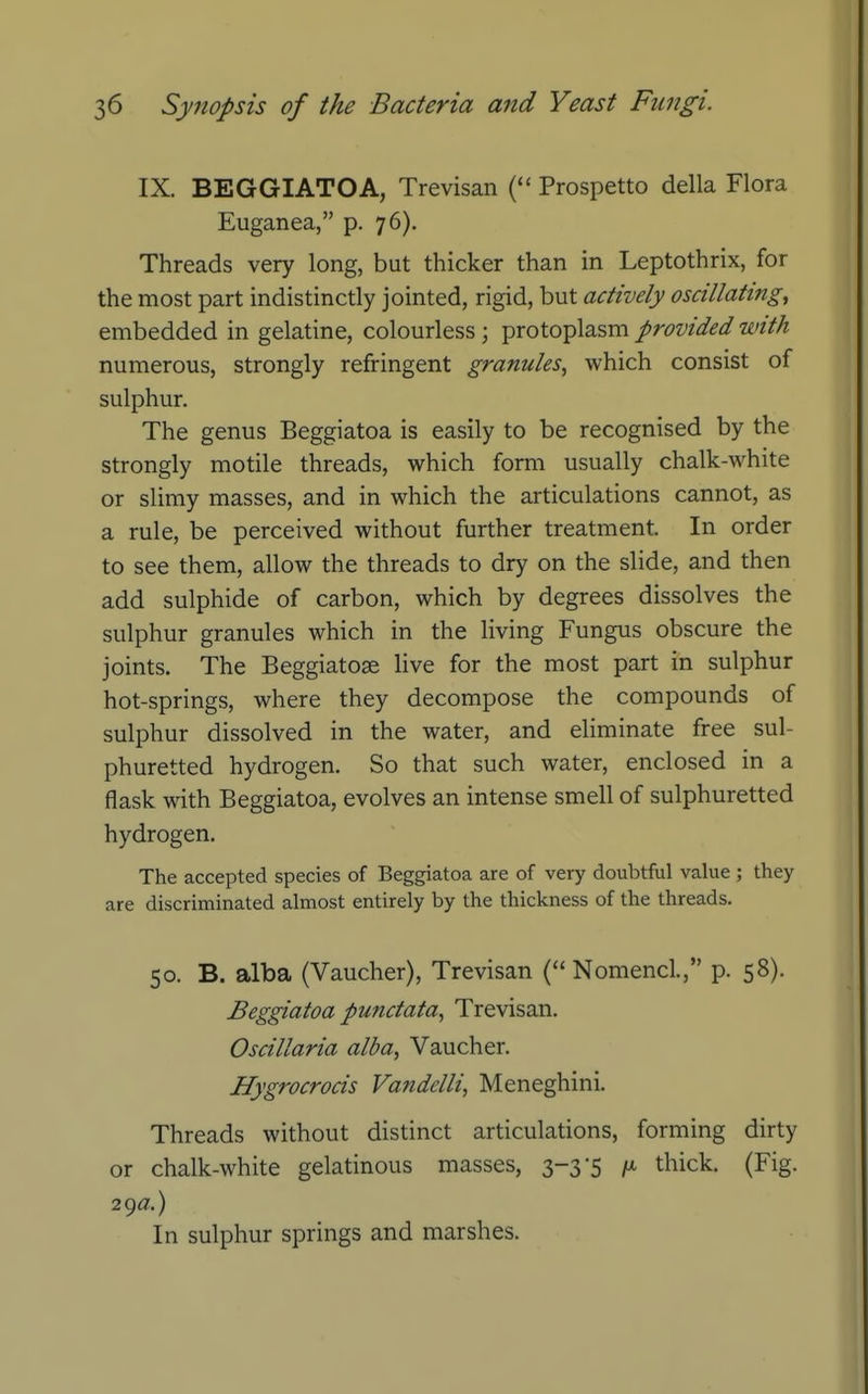 IX. BEGGIATOA, Trevisan (*' Prospetto della Flora Euganea, p. 76). Threads very long, but thicker than in Leptothrix, for the most part indistinctly jointed, rigid, but actively oscillating^ embedded in gelatine, colourless ; protoplasm provided with numerous, strongly refringent granules^ which consist of sulphur. The genus Beggiatoa is easily to be recognised by the strongly motile threads, which form usually chalk-white or slimy masses, and in which the articulations cannot, as a rule, be perceived without further treatment. In order to see them, allow the threads to dry on the slide, and then add sulphide of carbon, which by degrees dissolves the sulphur granules which in the living Fungus obscure the joints. The Beggiatose live for the most part in sulphur hot-springs, where they decompose the compounds of sulphur dissolved in the water, and eliminate free sul- phuretted hydrogen. So that such water, enclosed in a flask with Beggiatoa, evolves an intense smell of sulphuretted hydrogen. The accepted species of Beggiatoa are of very doubtful value ; they are discriminated almost entirely by the thickness of the threads. 50. B. alba (Vaucher), Trevisan ( Nomencl., p. 58). Beggiatoa punctata^ Trevisan. Oscillaria alba, Vaucher. Hygrocrocis Vandelli, Meneghini. Threads without distinct articulations, forming dirty or chalk-white gelatinous masses, 3-3-5 /a thick. (Fig. 2()a.) In sulphur springs and marshes.