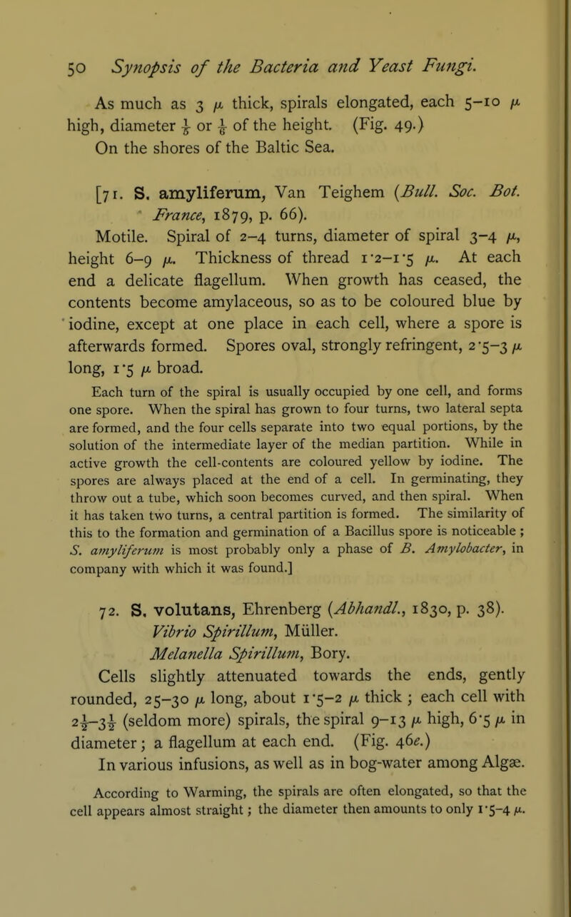 As much as 3 /u. thick, spirals elongated, each 5-10 /x high, diameter ^ or of the height (Fig. 49.) On the shores of the Baltic Sea. [71. S. amylifenim, Van Teighem {Bull. Sac. Bat. France^ 1879, p. 66). Motile. Spiral of 2-4 turns, diameter of spiral 3-4 ft, height 6-9 yu,. Thickness of thread i'2-i*5 /x. At each end a delicate flagellum. When growth has ceased, the contents become amylaceous, so as to be coloured blue by iodine, except at one place in each cell, where a spore is afterwards formed. Spores oval, strongly refringent, 2-5-3 /x long, I '5 ju. broad. Each turn of the spiral is usually occupied by one cell, and forms one spore. When the spiral has grown to four turns, two lateral septa are formed, and the four cells separate into two equal portions, by the solution of the intermediate layer of the median partition. While in active growth the cell-contents are coloured yellow by iodine. The spores are always placed at the end of a cell. In germinating, they tiirow out a tube, which soon becomes curved, and then spiral. When it has taken two turns, a central partition is formed. The similarity of this to the formation and germination of a Bacillus spore is noticeable ; S. af?iyliferum is most probably only a phase of B. Amylobader, in company with which it was found.] 72. S. volutans, Ehrenberg {AbhandL, 1830, p. 38). Vibrio Spirillum, Miiller. Melanella Spirillum, Bory. Cells slightly attenuated towards the ends, gently rounded, 25-30 /x, long, about 1*5-2 /u, thick ; each cell with 2^-3^ (seldom more) spirals, the spiral 9-13 /x high, 6*5 /x in diameter; a flagellum at each end. (Fig. 46.?.) In various infusions, as well as in bog-water among Algae. According to Warming, the spirals are often elongated, so that the cell appears almost straight; the diameter then amounts to only 1-5-4 yu..