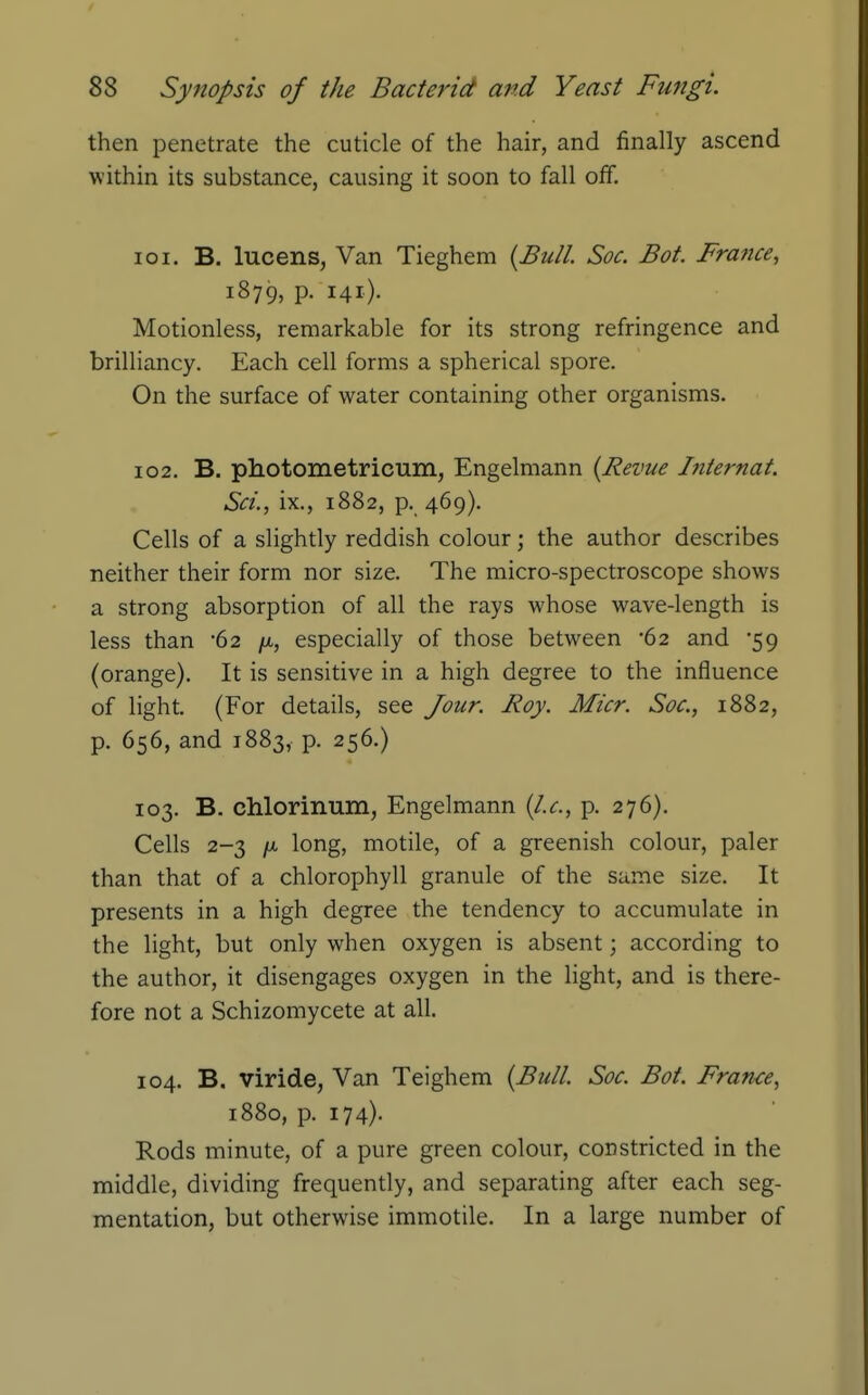 then penetrate the cuticle of the hair, and finally ascend within its substance, causing it soon to fall off. 101. B. lucens, Van Tieghem {Bull. Soc. Bat. France, 1879, P- i4i)- Motionless, remarkable for its strong refringence and brilliancy. Each cell forms a spherical spore. On the surface of water containing other organisms. 102. B, photometricum, Engelmann {Revue Internat. Sci., ix., 1882, p. 469). Cells of a slightly reddish colour; the author describes neither their form nor size. The micro-spectroscope shows a strong absorption of all the rays whose wave-length is less than -62 /x., especially of those between '62 and '59 (orange). It is sensitive in a high degree to the influence of light. (For details, see Jour. Roy. Micr. Soc, 1882, p. 656, and 1883, p. 256.) 103. B. chlorinum, Engelmann {I.e., p. 276). Cells 2-3 /A long, motile, of a greenish colour, paler than that of a chlorophyll granule of the same size. It presents in a high degree the tendency to accumulate in the light, but only when oxygen is absent; according to the author, it disengages oxygen in the light, and is there- fore not a Schizomycete at all. 104. B. viride, Van Teighem {Bull. Soc. Bot. France, 1880, p. 174). Rods minute, of a pure green colour, constricted in the middle, dividing frequently, and separating after each seg- mentation, but otherwise immotile. In a large number of