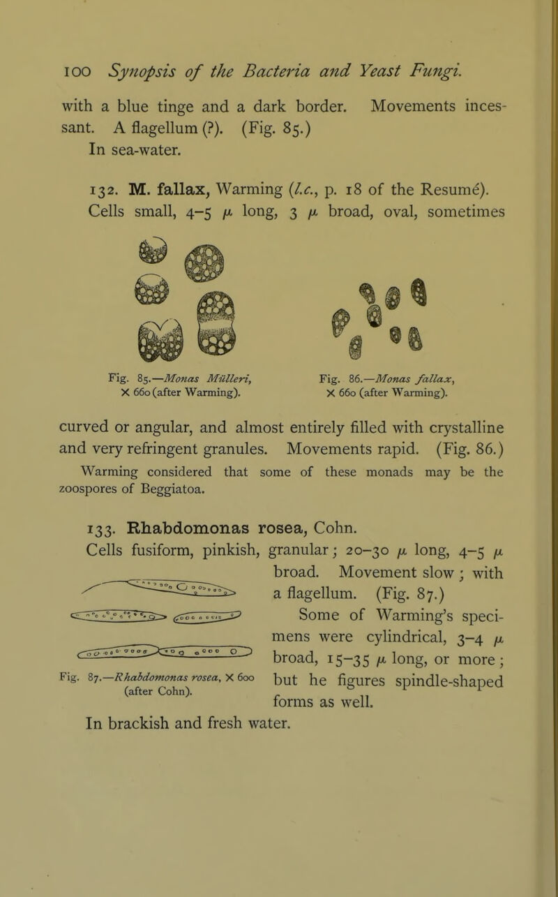 with a blue tinge and a dark border. Movements inces- sant. A flagellum (?). (Fig. 85.) In sea-water. 132. M. fallax, Warming {I.e., p. 18 of the Resume). Cells small, 4-5 /a long, 3 /x, broad, oval, sometimes Fig. 85.—Monas Miilleri, Fig. 86.—Monas fallax, X 660 (after Warming). X 660 (after Warming). curved or angular, and almost entirely filled with crystalline and very refiringent granules. Movements rapid. (Fig. 86.) Warming considered that some of these monads may be the zoospores of Beggiatoa. 133. Rhabdomonas rosea, Cohn, Cells fusiform, pinkish, granular; 20-30 ^ long, 4-5 ju broad. Movement slow ; with a flagellum. (Fig. 87.) Some of Warming's speci- mens were cylindrical, 3-4 broad, 15-35 lo^g^ or more ; Fig. zn.-Rhabdomonas rosea, boo figures spindle-shapcd (after Cohn). ^ forms as well. In brackish and fresh water.