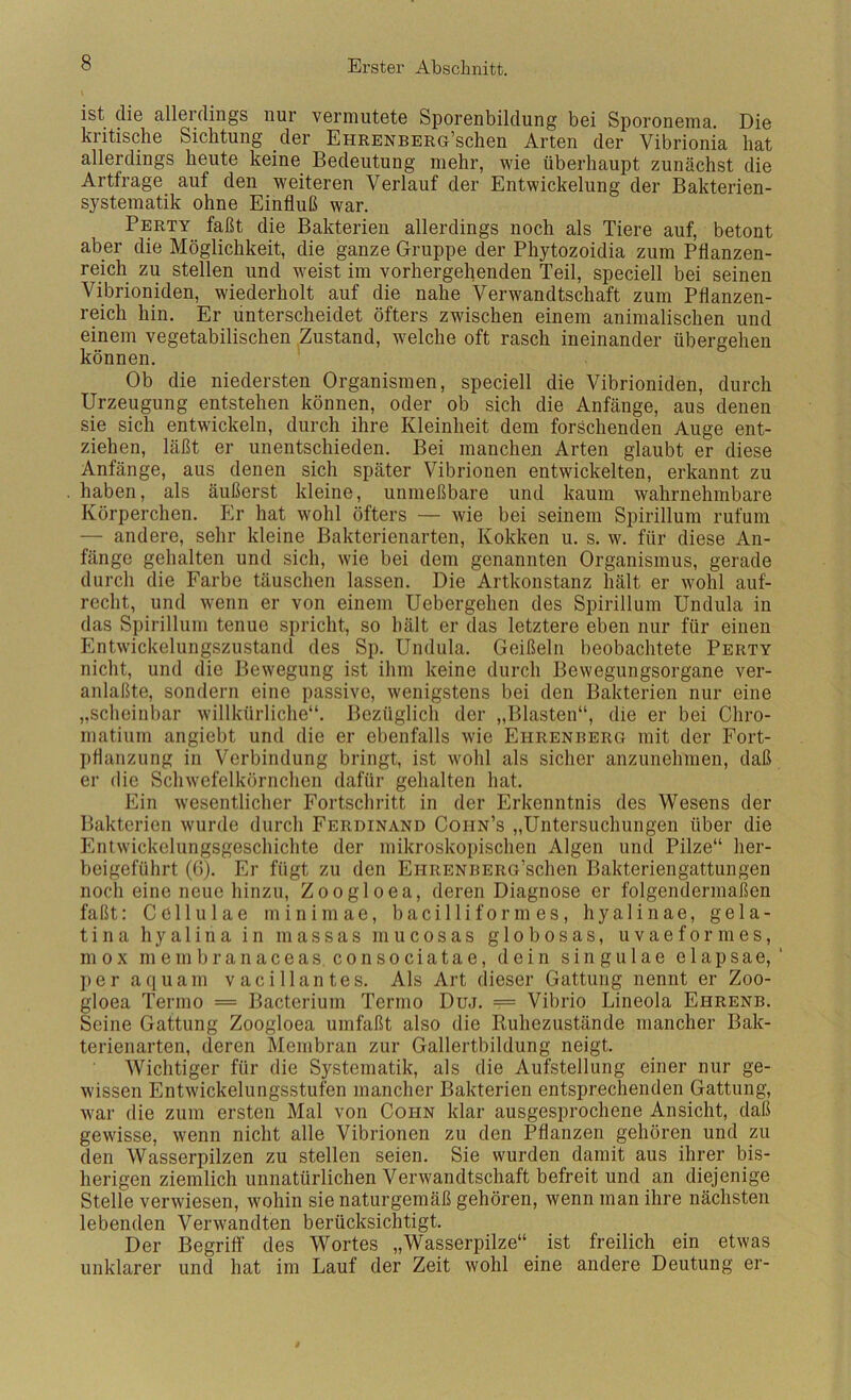 ist die allerdings nur vermutete Sporenbildung bei Sporonema. Die kritische Sichtung der EHRENBERo’schen Arten der Vibrionia hat allerdings heute keine Bedeutung mehr, wie überhaupt zunächst die Artfrage auf den weiteren Verlauf der Entwickelung der Bakterien- systematik ohne Einfluß war. Perty faßt die Bakterien allerdings noch als Tiere auf, betont aber die Möglichkeit, die ganze Gruppe der Phytozoidia zum Pflanzen- reich zu stellen und weist im vorhergehenden Teil, speciell bei seinen Vibrioniden, wiederholt auf die nahe Verwandtschaft zum Pflanzen- reich hin. Er unterscheidet öfters zwischen einem animalischen und einem vegetabilischen Zustand, welche oft rasch ineinander übergehen können. Ob die niedersten Organismen, speciell die Vibrioniden, durch Urzeugung entstehen können, oder ob sich die Anfänge, aus denen sie sich entwickeln, durch ihre Kleinheit dem forschenden Auge ent- ziehen, läßt er unentschieden. Bei manchen Arten glaubt er diese Anfänge, aus denen sich später Vibrionen entwickelten, erkannt zu haben, als äußerst kleine, unmeßbare und kaum wahrnehmbare Körperchen. Er hat wohl öfters — wie bei seinem Spirillum rufum — andere, sehr kleine Bakterienarten, Kokken u. s. w. für diese An- fänge gehalten und sich, wie bei dem genannten Organismus, gerade durch die Farbe täuschen lassen. Die Artkonstanz hält er wohl auf- recht, und wenn er von einem Uebergehen des Spirillum Undula in das Spirillum tenue spricht, so hält er das letztere eben nur für einen Entwickelungszustand des Sp. Undula. Geißeln beobachtete Perty nicht, und die Bewegung ist ihm keine durch Bewegungsorgane ver- anlaßte, sondern eine passive, wenigstens bei den Bakterien nur eine „scheinbar willkürliche“. Bezüglich der „Blästen“, die er bei Chro- matium angiebt und die er ebenfalls wie Ehrenrerg mit der Fort- pflanzung in Verbindung bringt, ist wohl als sicher anzunehmen, daß er die Schwefelkörnchen dafür gehalten hat. Ein wesentlicher Fortschritt in der Erkenntnis des Wesens der Bakterien wurde durch Ferdinand Cohn’s „Untersuchungen über die Entwickelungsgeschichte der mikroskopischen Algen und Pilze“ her- beigeführt (G). Er fügt zu den EiiRENRERG’schen Bakteriengattungen noch eine neue hinzu, Zoogloea, deren Diagnose er folgendermaßen faßt: Cöllulae mininiae, bacilliform es, hyalinae, gela- tina hyalina in massas mucosas globosas, uvaeformes, m 0 X me m branaceasconsociatae, dein singulae elapsae, ‘ ])er aquani vacillantes. Als Art dieser Gattung nennt er Zoo- gloea Tenno = Bacterium Tenno Duj. == Vibrio Lineola Ehrenb. Seine Gattung Zoogloea umfaßt also die Ruhezustände mancher Bak- terienarten, deren Membran zur Gallertbildung neigt. Wichtiger für die Systematik, als die Aufstellung einer nur ge- wissen Entwickelungsstufen mancher Bakterien entsprechenden Gattung, war die zum ersten Mal von Cohn klar ausgesprochene Ansicht, daß gewisse, wenn nicht alle Vibrionen zu den Pflanzen gehören und zu den Wasserpilzen zu stellen seien. Sie wurden damit aus ihrer bis- herigen ziemlich unnatürlichen Verwandtschaft befreit und an diejenige Stelle verwiesen, wohin sie naturgemäß gehören, wenn man ihre nächsten lebenden Verwandten berücksichtigt. Der Begriff des Wortes „Wasserpilze“ ist freilich ein etwas unklarer und hat im Lauf der Zeit wohl eine andere Deutung er-