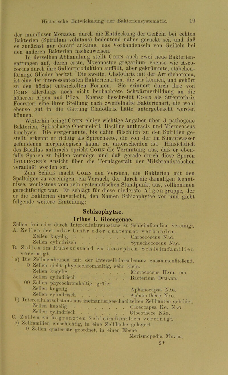 der mundlosen Monaden durcli die Entdeckung der Geißeln bei echten Bakterien (Spirillum volutans) bedeutend näher gerückt sei, und daß es zunächst nur darauf ankäine, das Vorhandensein von Geißeln bei den anderen Bakterien nachzuweisen. In derselben Abhandlung stellt Cohn auch zwei neue Bakterien- gattungen auf, deren erste, Myconostpc gregarium, ebenso wie Asco- coccus durch ihre Gallertproduktion auffällt, aber gekrümmte, stäbchen- förmige Glieder besitzt. Die zweite, Cladothrix mit der Art dichotoma, ist eine der interessantesten Bakterienarten, die wir kennen, und gehört zu den höchst entwickelten Formen. Sie erinnert durch ihre von Cohn allerdings noch nicht beobachtete Schwärmerbildung an die höheren Algen und Pilze. Ebenso beschreibt Cohn als Streptothrix Foersteri eine ihrer Stellung nach zweifelhafte Bakterienart, die wohl ebenso gut in die Gattung Cladothrix hätte untergebracht werden können. Weiterhin bringt Cohn einige wichtige Angaben über 3 pathogene Bakterien, Spirochaete Obermeieri, Bacillus anthracis und Micrococcus bombycis. Die erstgenannte, bis dahin fälschlich zu den Spirillen ge- stellt, erkennt er richtig als Spirochaete, die von der im Sumpfwasser gefundenen morphologisch kaum zu unterscheiden ist. Hinsichtlich des Bacillus anthracis spricht Cohn die Vermutung aus, daß er eben- falls Sporen zu bilden vermöge und daß gerade durch diese Sporen Bollinger’s Ansicht über die Torulagestalt der Milzbrandstäbchen veranlaßt worden sei. Zum Schluß macht Cohn den Versuch, die Bakterien mit den Spaltalgen zu vereinigen, ein Versuch, der durch die damaligen Kennt- nisse, wenigstens vom rein systematischen Standpunkt aus, vollkommen gerechtfertigt war. Er schlägt für diese niederste Algen gruppe, der er die Bakterien einverleibt, den Namen Schizophytae vor und giebt folgende weitere Einteilung: Schizopliytae. Tribus I. Gloeogenae. Zellen frei oder durch Intercellularsubstanz zu Schleimfainilien vereinigt. A. Zellen frei oder binär oder quaternär verbunden. Zellen kugelig Cbroococcus Näg. Zellen cylindriscb Synecbococcus Näg. B. Zellen im Ruhezustand zu amorphen Schleimfamilien vereinigt. a) Die Zellmembranen mit der Intercellularsubstanz zusammenfließend. 0 Zellen nicht phychochromhaltig, sehr klein. Zellen kugelig Micrococcus Hall. em. Zellen cylindrisch Bacterium Düjard. 00 Zellen phycochromhaltig, größer. Zellen kugelig Aphanocapsa Näg. Zellen cylindrisch Aphanothece Näg. b) Intercellularsubstanz aus ineinandergeschachtelten Zellhäuten gebildet. Zellen kugelig Gloeocapsa Kg. Näg. Zellen cylindrisch Gloeothece Näg. C. Zellen zu begrenzten Schleimfamilien vereinigt. c) Zellfamilien einschichtig, in eine Zellfläche gelagert. 0 Zellen quaternär geordnet, in einer Ebene Merismopedia Meyeu. 2*