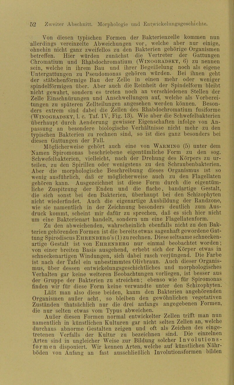 Von diesen typischen Formen der Bakterienzelle kommen nun allerdings vereinzelte Abweichungen vor, welche aber nur einige, ohnehin nicht ganz zweifellos zu den Bakterien gehörige Organismen betreffen. Hier würden zunächst die Vertreter der Gattungen Chromatium und Ehäbdochromatium. (Winogradsky, 6) zu nennen sein, welche in ihrem Bau und ihrer Begeißelung noch als eigene Untergattungen zu Pseudomonas gehören würden. Bei ihnen geht der stäbchenförmige Bau der Zelle in einen mehr oder weniger spindelförmigen über. Aber auch die Reinheit der Spindelform bleibt nicht gewahrt, sondern es treten noch an verschiedenen Stellen der Zelle Einschnürungen und Anschwellungen auf, welche als Vorberei- tungen zu späteren Zellteilungen angesehen werden können. Beson- ders extrem sind dabei die Zellen des Rhabdochromatium fusiforme (Winogradsky, 1. c. Taf. IV, Fig. 13). Wie aber die Schwefelbakterien überhaupt durch Aenderung gewisser Eigenschaften infolge von An- passung an besondere biologische Verhältnisse nicht mehr zu den typischen Bakterien zu rechnen sind, so ist dies ganz besonders bei diesen Gattungen der Fall. Möglicherweise gehört auch eine von Warming (5) unter dem Namen Spiromonas beschriebene eigentümliche Form zu den sog. Schwefelbakterien, vielleicht, nach der Drehung des Körpers zu ur- teilen, zu den Spirillen oder wenigstens zu den Schraubenbakterien. Aber die morphologische Beschreibung dieses Organismus ist so wenig ausführlich, daß er möglicherweise auch zu den Flagellaten gehören kann. Ausgezeichnet ist diese Form durch die eigentüm- liche Zuspitzung der Enden und die Hache, bandartige Gestalt, die sich sonst bei den Bakterien, überhaupt bei den Schizophyten nicht wiederfindet. Auch die eigenartige Ausbildung der Randzone, wie sie namentlich in der Zeichnung besonders deutlich zum Aus- druck kommt, scheint mir dafür zu sprechen, daß es sich hier nicht um eine Bakterienart handelt, sondern um eine Flagellatenform. Zu den abweichenden, wahrscheinlich ebenfalls nicht zu den Bak- terien gehörenden Formen ist die bereits etwas sagenhaft gewordene Gat- tung Spirodiscus Eiirenberg’s (1) zu rechnen. Diese seltsame schnecken- artige Gestalt ist von Ehrenberg nur einmal beobachtet worden; von einer breiten Basis ausgehend, erhebt sich der Körper etwas in schneckenartigen Windungen, sich dabei rasch verjüngend. Die Farbe ist nach der Tafel ein unbestimmtes Olivbraun. Auch dieser Organis- mus, über dessen entwickelungsgeschichtliches und morphologisches Verhalten gar keine weiteren Beobachtungen vorliegen, ist besser aus der Gruppe der Bakterien zu streichen; ebenso wie für Spiromonas finden wir für diese Form keine verwandte unter den Schizophyten. Läßt man also diese beiden, kaum den Bakterien angehörenden Organismen außer acht, so bleiben den gewöhnlichen vegetativen Zuständen thatsächlich nur die drei anfangs angegebenen Formen, die nur selten etwas vom Typus abweichen. Außer diesen Formen normal entwickelter Zellen trifft man nun namentlich in künstlichen Kulturen gar nicht selten Zellen an, welche durchaus abnorme Gestalten zeigen und oft als Zeichen des einge- tretenen Verfalls der Kultur zu bezeichnen sind. Die einzelnen Arten sind in ungleicher Weise zur Bildung solcher Involutions- formen disponiert. Wir kennen Arten, welche auf künstlichen Nähr- böden von Anfang an fast ausschließlich Involutionsformen bilden