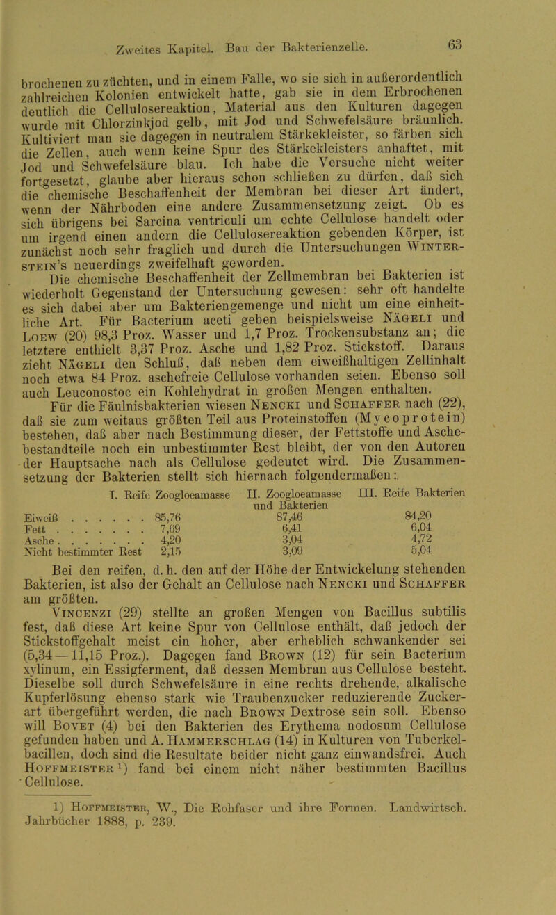 brochenen zu züchten, und in einem Falle, wo sie sich in außerordentlich zahlreichen Kolonien entwickelt hatte, gab sie in dem Erbrochenen dentlich die Cellulosereaktion, Material aus den Kulturen dagegen wurde mit Chlorzinkjod gelb, mit Jod und Schwefelsäure bräunlich. Kultiviert man sie dagegen in neutralem Stärkekleister, so färben sich die Zellen, auch wenn keine Spur des Stärkekleisters anhaftet, mit Jod und Schwefelsäure blau. Ich habe die Versuche nicht weiter fort«^esetzt glaube aber hieraus schon schließen zu dürfen, daß sich die Chemische Beschaffenheit der Membran bei dieser Art ändert, wenn der Nährboden eine andere Zusammensetzung zeigt. Ob es sich übrigens bei Sarcina ventriculi um echte Cellulose handelt oder um irgend einen andern die Cellulosereaktion gebenden Körper, ist zunächst noch sehr fraglich und durch die Untersuchungen Winter- stein’s neuerdings zweifelhaft geworden. Die chemische Beschatfenheit der Zellmembran bei Bakterien ist wiederholt Gegenstand der Untersuchung gewesen: sehr oft handelte es sich dabei aber um Bakteriengemenge und nicht um eine einheit- liche Art. Für Bacterium aceti geben beispielsweise Nägeli und Loew (20) 98,3 Proz. Wasser und 1,7 Proz. Trockensubstanz an; die letztere enthielt 3,37 Proz. Asche und 1,82 Proz. Stickstoff. Daraus zieht Nägeli den Schluß, daß neben dem eiweißhaltigen Zellinhalt noch etwa 84 Proz. aschefreie Cellulose vorhanden seien. Ebenso soll auch Leuconostoc ein Kohlehydrat in großen Mengen enthalten. Für die Fäulnisbakterien wiesen Nencki und Schaffer nach (22), daß sie zum weitaus größten Teil aus Proteinstoffen (Mycoprotein) bestehen, daß aber nach Bestimmung dieser, der Fettstoffe und Asche- bestandteile noch ein unbestimmter Rest bleibt, der von den Autoren der Hauptsache nach als Cellulose gedeutet wird. Die Zusammen- setzung der Bakterien stellt sich hiernach folgendermaßen:. I. Reife Zoogloeamasse II. Zoogloeamasse III. Reife Bakterien und Bakterien Eiweiß 85,76 87,46 84,20 Fett 7,69 6,41 6,04 Asche 4,20 3,04 4,72 Nicht bestimmter Rest 2,15 3,09 5,04 Bei den reifen, d. h. den auf der Höhe der Entwickelung stehenden Bakterien, ist also der Gehalt an Cellulose nach Nencki und Schaffer am größten. ViNCENzi (29) stellte an großen Mengen von Bacillus subtilis fest, daß diese Art keine Spur von Cellulose enthält, daß jedoch der Stickstoffgehalt meist ein hoher, aber erheblich schwankender sei (5,34—11,15 Proz.). Dagegen fand Brown (12) für sein Bacterium xylinum, ein Essigferment, daß dessen Membran aus Cellulose besteht. Dieselbe soll durch Schwefelsäure in eine rechts drehende, alkalische Kupferlösung ebenso stark wie Traubenzucker reduzierende Zucker- art übergeführt werden, die nach Brown Dextrose sein soll. Ebenso will Bovet (4) bei den Bakterien des Erythema nodosum Cellulose gefunden haben und A. Hammerschlag (14) in Kulturen von Tuberkel- bacillen, doch sind die Resultate beider nicht ganz einwandsfrei. Auch Hoffmeister U fand bei einem nicht näher bestimmten Bacillus Cellulose. 1) Hoffmeister, W., Die Rohfaser und ihre Formen. Landwirtsch. Jahrbücher 1888, p. 239.