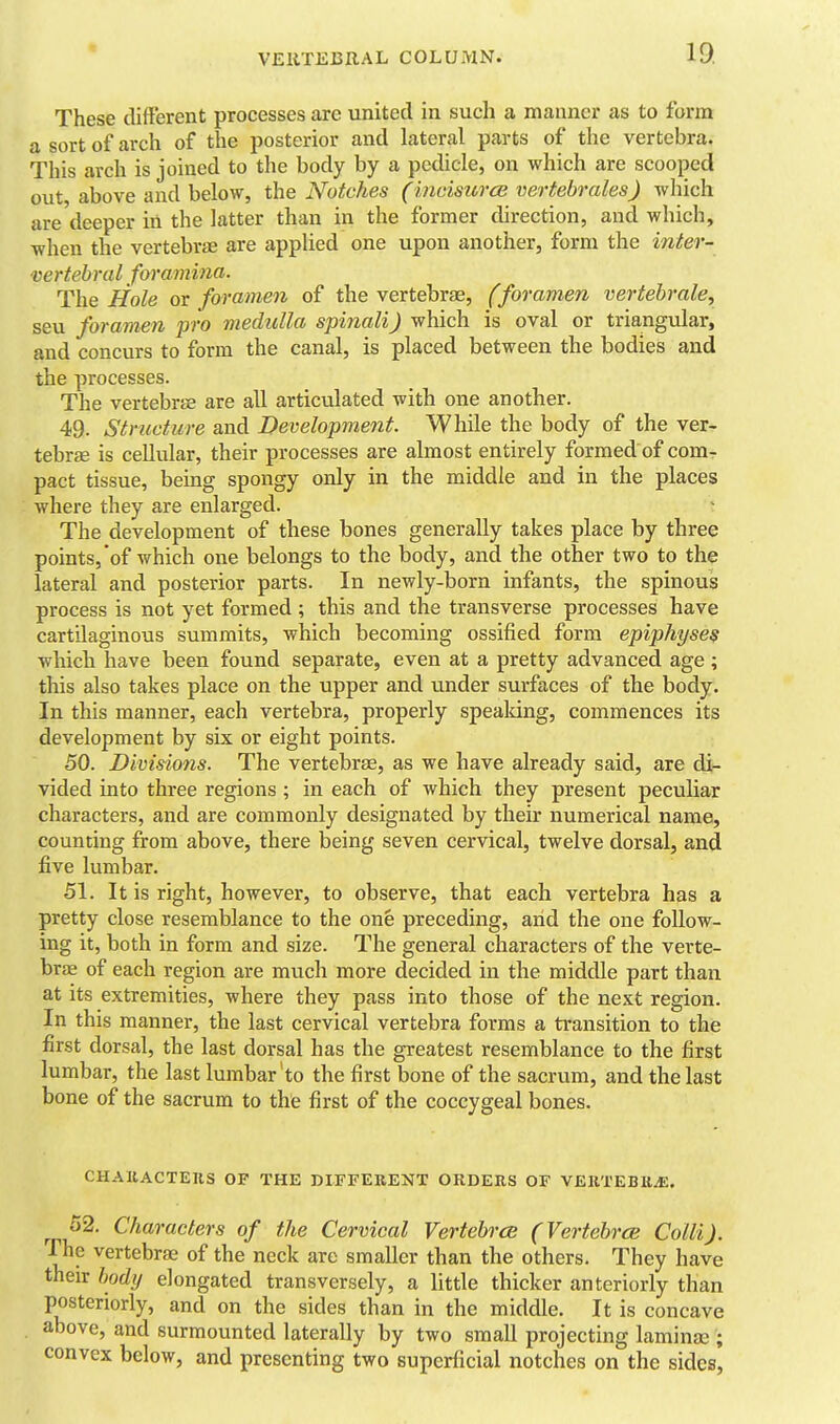 These different processes arc united in such a manner as to form a sort of arch of the posterior and lateral parts of the vertebra. This arch is joined to the body by a pedicle, on which are scooped out, above and below, the Notches (incisures vertebrales) which are deeper itii the latter than in the former direction, and which, when the vertebra are applied one upon another, form the inter- vertebral foramina. The Hole or foramen of the vertebrtE, (foramen vertehrale, seu foramen pro medulla spinaliJ which is oval or triangular, and concurs to form the canal, is placed between the bodies and the processes. The vertebrae are all articulated with one another. 49. Structure and Development. While the body of the ver- tebr£e is cellular, their processes are almost entirely formed of com- pact tissue, being spongy only in the middle and in the places where they are enlarged. The development of these bones generally takes place by three points, of which one belongs to the body, and the other two to the lateral and posterior parts. In newly-born infants, the spinous process is not yet formed ; this and the transverse processes have cartilaginous summits, which becoming ossified form epiphyses which have been found separate, even at a pretty advanced age ; this also takes place on the upper and under surfaces of the body. In this manner, each vertebra, properly speaking, commences its development by six or eight points. 50. Divisions. The vertebrse, as we have already said, are di- vided into three regions; in each of which they present peculiar characters, and are commonly designated by their numerical name, counting from above, there being seven cervical, twelve dorsal, and five lumbar. 51. It is right, however, to observe, that each vertebra has a pretty close resemblance to the one preceding, and the one follow- ing it, both in form and size. The general characters of the verte- brte of each region are much more decided in the middle part than at its extremities, where they pass into those of the next region. In this manner, the last cervical vertebra forms a transition to the first dorsal, the last dorsal has the greatest resemblance to the first lumbar, the last lumbar to the first bone of the sacrum, and the last bone of the sacrum to the first of the coccygeal bones. CHAttACTEUS OF THE DIFFEKENT ORDERS OF VEUTEB11.E. 52. Characters of the Cervical Vertebra (Vertebrce Colli). The vertebrae of the neck are smaller than the others. They have their body elongated transversely, a little thicker anteriorly than posteriorly, and on the sides than in the middle. It is concave above, and surmounted laterally by two small projecting laminae ; convex below, and presenting two superficial notches on the sides,