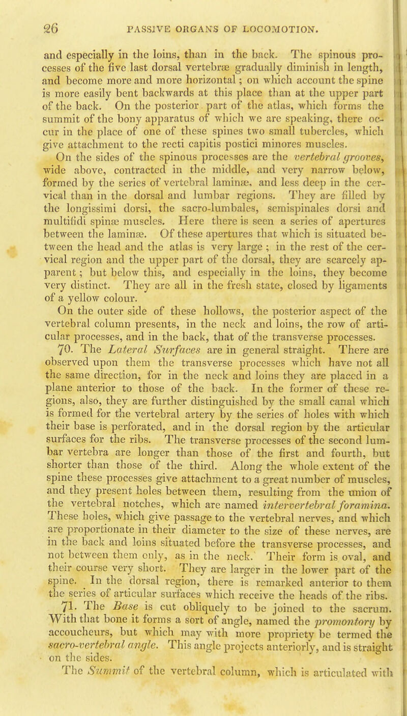 and especially in the loins, than in the back. The spinous pro- cesses of the five last dorsal vertebrae gradually diminish in length, and become more and more horizontal; on which account the spine is more easily bent backwards at this place than at the upper part of the back. On the posterior part of the atlas, which forms the summit of the bony apparatus of which we are speaking, there oc- cur in the place of one of these spines two small tubercles, which give attachment to the recti capitis postici minores muscles. On the sides of the spinous processes are the vertebral grooves^ wide above, contracted in the middle, and very narrow below, formed by the series of vertebral laminae, and less deep in the cer- vical than in the dorsal and lumbar regions. They are filled by the longissimi dorsi, the sacro-lumbales, scmispinales dorsi and multilidi spinae muscles. Here there is seen a series of apertures between the laminae. Of these apertures that which is situated be- tween the head and the atlas is very large ; in the rest of the cer- vical region and the upper part of the dorsal, they are scarcely ap- parent ; but below this, and especially in the loins, they become very distinct. They are all in the fresh state, closed by ligaments of a yellow colour. On the outer side of these hollows, the posterior aspect of the vertebral column presents, in the neck and loins, the row of arti- cular processes, and in the back, that of the transverse processes. 70. The Lateral Surfaces are in general straight. There are observed upon them the transverse processes which have not all the same direction, for in the neck and loins they are placed in a plane anterior to those of the back. In the former of these re- gions, also, they are further distinguished by the small canal which is formed for the vertebral artery by the series of holes with which their base is perforated, and in the dorsal region by the articular surfaces for the ribs. The transverse processes of the second lum- bar vertebra are longer than those of the first and fourth, but shorter than those of the third. Along the whole extent of the spine these processes give attachment to a great number of muscles, and they present holes between them, resulting from the union of the vertebral notches, which are named intervertebral foramina. These holes, which give passage to the vertebral nerves, 'and which are proportionate in their diameter to the size of these nerves, are in the back and loins situated before the transverse processes, and not between them only, as in the neck. Their form is oval, and their course very short. They are larger in the lower part of the spine. In the dorsal region, there is remarked anterior to them the series of articular surfaces which receive the heads of the ribs. 71. The Base is cut obliquely to be joined to the sacrum. With that bone it forms a sort of angle, named the promontory by accoucheurs, but which may with more propriety be termed the sacro-vertehral angle. This angle projects anteriorly, and is straight on tlie sides. The S'ummif of the vertebral column, which is articulated with