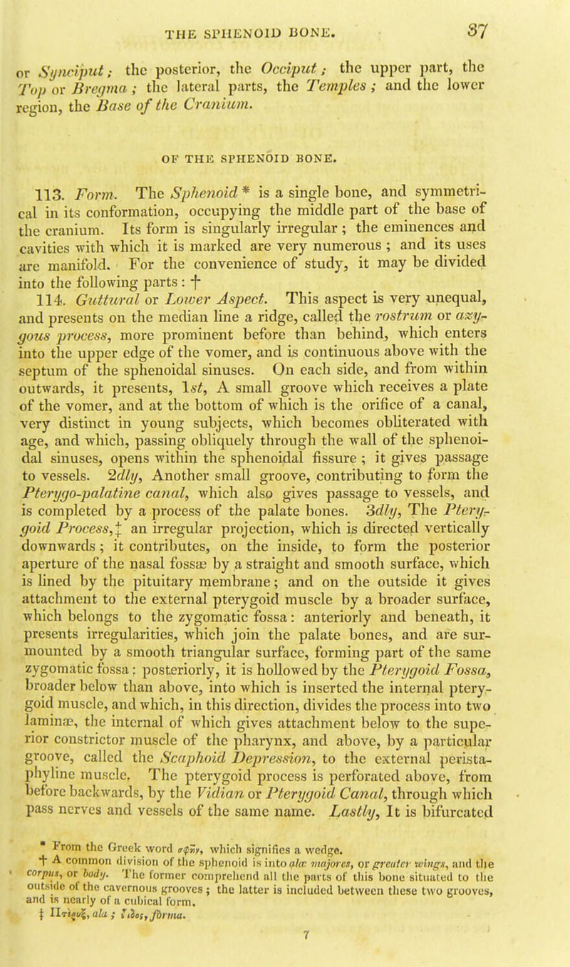 or Synclput; the posterior, the Occiput; the upper part, the Top or Bregma ; tlie lateral parts, the Temples; and the lower region, the Base of the Cranium. OF THE SPHENOID BONE. 113. Form. The Sphenoid * is a single bone, and symmetri- cal in its conformation, occupying the middle part of the base of the cranium. Its form is singularly irregular ; the eminences aijd cavities with which it is marked are very numerous ; and its uses are manifold. For the convenience of study, it may be divided into the following parts : f 114. Guttural ox Lower Aspect. This aspect is very unequal, and presents on the median line a ridge, called the rostrum or axy- gous process, more prominent before than behind, which enters into the upper edge of the vomer, and is continuous above with the septum of the sphenoidal sinuses. On each side, and from within outwards, it presents, 1st, A small groove which receives a plate of the vomer, and at the bottom of which is the orifice of a canal, very distinct in young subjects, Avhich becomes obliterated with age, and which, passing obliquely through the wall of the sphenoi- dal sinuses, opens within the sphenoidal fissure ; it gives passage to vessels. 2dly, Another small groove, contributing to form the Pterygo-palati7ie canal, which also gives passage to vessels, and is completed by a process of the palate bones. 3dly, The Pteryr gold Process,^ an irregular projection, which is directed vertically downwards; it contributes, on the inside, to form the posterior aperture of the nasal fossjB by a straight and smooth surface, vv'hich is fined by the pituitary membrane; and on the outside it gives attachment to the external pterygoid muscle by a broader surface, which belongs to the zygomatic fossa: anteriorly and beneath, it presents irregularities, which join the palate bones, and are sur- mounted by a smooth triangular surface, forming part of the same zygomatic fossa: posteriorly, it is hollowed by the Pterygoid Fossa, broader below than above, into which is inserted the internal ptery- goid muscle, and which, in this direction, divides the process into two laminae, the internal of which gives attachment below to the supe- rior constrictor muscle of the pharynx, and above, by a particular groove, called the Scaphoid Depression, to the external perista- phyline muscle. The pterygoid process is perforated above, from before backwards, by the Vidian or Pterygoid Canal, through which pass nerves and vessels of the same name. Liasthj, It is bifurcated ■ From the Greek word «ripS>, which signifies a wedge. ■\ A common division of tlie sphenoid is iiitoi^te viajorcs, or greater lehigs, and tlie cnrpun, or hodij. The former cornprelicnd all the parts of this bone situated to the outside of the cavernous grooves ; the latter is included between these two grooves, and IS nearly of a cubical form. \ U.T^ul,ala; i,ic:,Jbrma. r