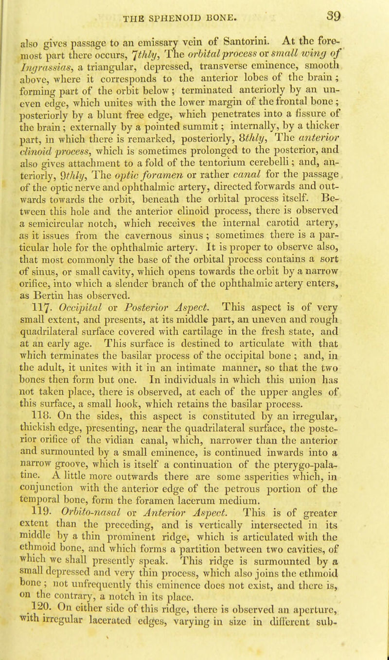 also gives passage to an emissary vein of Santorini. At the fore- most part there occurs, 'Jtlily, The orbital process or small imn(j of In(jrassias, a triangular, depressed, transverse eminence, smooth above, where it corresponds to the anterior lobes of the brain; forming part of the orbit below ; terminated anteriorly by an un- even edge, which unites with the lower margin of the frontal bone ; posteriorly by a blunt free edge, which penetrates into a fissure of the brain; externally by a pointed summit; internally, by a thicker part, in which there is remarked, posteriorly, Sthly, The anterior vlinoid process, which is sometimes prolonged to the posterior, and also gives attachment to a fold of the tentorium cerebelli; and, an- teriorly, dthly, The optic foramen or rather canal for the passage of the optic nerve and ophthalmic artery, directed forwards and out- wards towards the orbit, beneath the orbital process itself. Be- tween this hole and the anterior clinoid process, there is observed a semicircular notch, which receives the internal carotid artery, as it issues from the cavernous sinus; sometimes there is a par- ticidar hole for the ophthalmic artery. It is proper to observe also, that most commonly the base of the orbital process contains a sort of sinus, or small cavity, which opens towards the orbit by a narrow orifice, into which a slender branch of the ophtlialmic artery enters, as Bertin has observed. 117. Occipital or Posterior Aspect. This aspect is of very small extent, and presents, at its middle part, an uneven and rough quadrilateral surface covered with cartilage in the fresh state, and at an early age. This surface is destined to articulate with that which terminates the basilar process of the occipital bone ; and, in the adult, it unites with it in an intimate manner, so that the two bones then form but one. In individuals in which this union has not taken place, there is observed, at each of the upper angles of this surface, a small hook, which retains the basilar process. 118. On the sides, this aspect is constituted by an irregular, thickish edge, presenting, near the quadrilateral surface, the poste- rior orifice of the vidian canal, which, narrower than the anterior and surmounted by a small eminence, is continued inwards into a narrow groove, which is itself a continuation of the pterygo-pala- tme. A little more outwards there are some asperities which, in conjunction with the anterior edge of the petrous portion of the temporal bone, form the foramen laccrum medium. 119- Orhito-nasul or Anterior Aspect. This is of greater extent than the preceding, and is vertically intersected in its middle by a thin prominent ridge, which is articulated with the ethmoid bone, and which forms a partition between two cavities, of which we shall presently speak. This ridge is surmovinted by a small depressed and very thin process, which also joins the ethmoid bone; not unfrequently this eminence docs not exist, and there is, on the contrary, a notch in its place. • If^' either side of this ridge, there is observed an aperture, viih. irregular lacerated edges, varying in size in diilcrent sub-