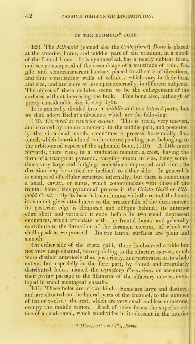 OF THE ETHMOID* BOKE. 129. The Ethmoid (named also the Cribriform) Bone is placed at the anterior, lower, and middle part of the cranium, in a notch of the frontal bone. It is symmetrical, has a nearly cubical form, and seems composed of the assemblage of a multitude of thin, fra- gile and semitransparent laminjje, placed in all sorts of directions, and thus constituting walls of cellules, which vary in their form and size, and are more or less open externally, in different subjects. | The object of these cellules seems to be the enlargement of the surfaces without increasing the bulk. This bone also, although of pretty considerable size, is very light. It is generally divided into a middle and two lateral parts, but •we shall adopt IBichat's divisions, which are the following. 130. Cerebral or superior aspect. This is broad, very uneven, and covered by the dura mater ; in the middle part, and posterior- ly, there is a small notch, sometimes a process horizontally flat- tened, which is articulated with a corresponding part belonging to the orbito-nasal aspect of the sphenoid bone, (119). A little more forwards, there rises, in a graduated manner, a crest, having the form of a triangular pyramid, varying much in size, being some- times very large and bulging, sometimes depressed and thin ; its direction may be vertical or inclined to either side. In general it is composed of cellular structure internally, but there is sometimes a small cavity, or sinus, which communicates with those of the I frontal bone : this pyramidal process is the Crista Galli or Eth- moid Crest. By its base it is continuous with the rest of the bone; its summit gives attachment to the greater falx of the dura mater; its posterior edge is elongated and oblique behind; its anterior edge short and vertical: it ends before in two small depressed eminences, which articulate with the frontal bone, and generally contribute to the formation of the foramen coecum, of which we shall speak as we proceed. Its two lateral surfaces are plain and|| smooth. On either side of the crista galli, there is observed a wide but not very deep channel, corresponding to the olfactory nerves, much more distinct anteriorly than posteriorly, and perforated in its whole extent, but especially at the fore part, by round and irregularly distributed holes, named the Olfactory Foramina, on account of their giving passage to the filaments of the olfactory nerves, enve- loped in small meningeal sheaths. i 131. These holes are of two kinds. Some are large and distinct,' and are situated on the lateral parts of the channel, to the number of ten or twelve ; the rest, which are very small and less numerous. 1 1 occupy the middle region. Each of them forms the superior ori- fice of a small canal, which subdivides in its descent in the intcrioi • crih um ; tlSct, forma.