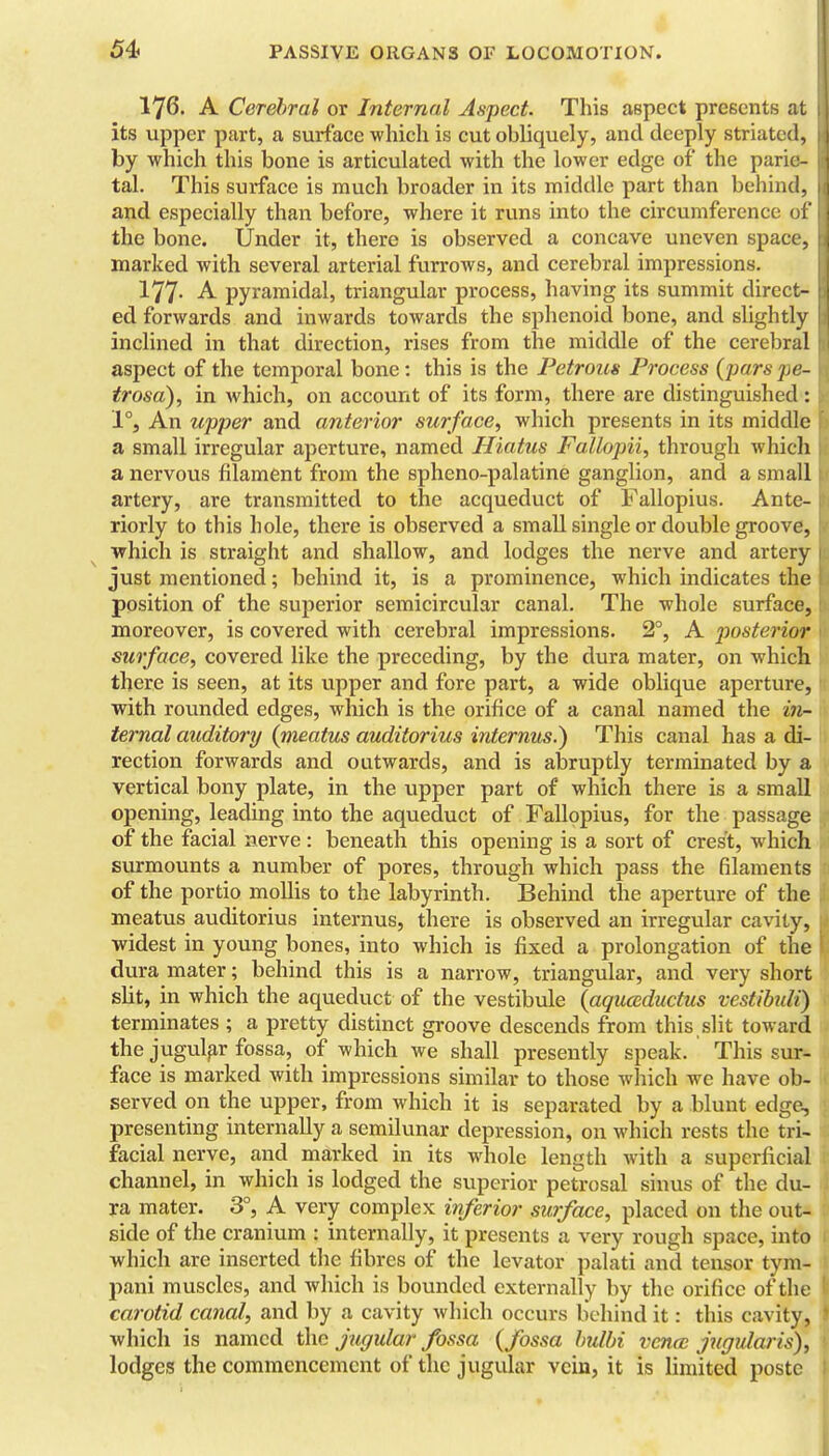 176. A Cerebral or Internal Aspect. This aepect presents at its upper part, a surface which is cut obliquely, and deeply striated, by which this bone is articulated with the lower edge of the parie- tal. This surface is much broader in its middle part than behind, and especially than before, where it runs into the circumference oi the bone. Under it, there is observed a concave uneven space, marked with several arterial furrows, and cerebral impressions. 177- A pyramidal, triangular process, having its summit direct- ed forwards and inwards towards the sphenoid bone, and slightly inclined in that direction, rises from the middle of the cerebral aspect of the temporal bone: this is the Petrous Process {pars jie- trosa), in which, on account of its form, there are distinguished: 1°, An upper and anterior surface, which presents in its middle a small irregular aperture, named Hiatus Fallopii, through whicli a nervous filament from the spheno-palatine ganglion, and a small artery, are transmitted to the acqueduct of Fallopius. Ante- riorly to this hole, there is observed a smaU single or double groove, which is straight and shallow, and lodges the nerve and artery just mentioned; behind it, is a prominence, which indicates the position of the superior semicircular canal. The whole surface, moreover, is covered with cerebral impressions. 2°, A posterior surface, covered like the preceding, by the dura mater, on which there is seen, at its upper and fore part, a wide oblique aperture, with rovmded edges, which is the orifice of a canal named the i7i- ternal auditory {meatus auditorius internus.) This canal has a di- rection forwards and outwards, and is abruptly terminated by a vertical bony plate, in the upper part of which there is a small opening, leading into the aqueduct of Fallopius, for the passage of the facial nerve: beneath this opening is a sort of crest, which svirmounts a number of pores, through which pass the filaments of the portio mollis to the labyrinth. Behind the aperture of the meatus auditorius internus, there is observed an irregular cavity, widest in young bones, into which is fixed a prolongation of the dura mater; behind this is a narrow, triangular, and very short sHt, in which the aqueduct of the vestibule {aquccductus vestibidi) terminates ; a pretty distinct groove descends from this slit toward the jugular fossa, of which we shall presently speak. This sur- face is marked with impressions similar to those which we have ob- served on the upper, from which it is separated by a blunt edge, presenting internally a semilunar depression, on which rests the tri- facial nerve, aiid marked in its whole length with a superficial channel, in which is lodged the superior petrosal sinus of the du- ra mater. 3°, A very complex inferior surface, placed on the outA side of the cranium : internally, it presents a very rough space, into which are inserted the fibres of the levator palati and tensor tym- pani muscles, and which is bounded externally by the orifice of the carotid canal, and by a cavity which occurs behind it: this cavity, which is named the jugular fossa {fossa hulhi vena jugidaris)^ lodges the commencement of the jugular vein, it is limited poste