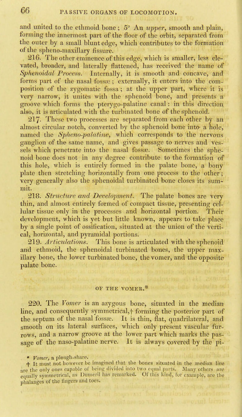 and united to the etlimoid bone ; 5° An upper, smooth and plam, forming tlie innermost part of the floor of the orbit, separated from tlic outer by a small blunt edge, •which contributes to the formation of tlie sphono-maxillary fissure. , 216. The other eminence of this edge, wliich is smaller, less ele- vated, broader, and laterally flattened, has received the name of Sphenoidal Proccsn. Internally, it is smooth and concave, and forms part of the nasal fossiu ; externally, it enters into the com- position of the zygomatic fossa; at the upper part, where it is very narrow, it imites with the sphenoid bone, and presents a groove which forms the pterygo-palatine canal: in this dii-ectiou also, it is articulated with the turbinated bone of the sphenoid. 217. These two processes are separated from each other by an almost circular notch, converted by the sphenoid bone into a hole, named the Spheno-palathie, which corresponds to the nervous ganglion of the same name, and gives passage to nerves and ves- sels which penetrate into the nasal fossae. Sometimes the sphe- noid bone does not in any degree contribute to the formation of this hole, which is entirely formed in the palate bone, a bony plate then stretching horizontally from one process to the other; very generally also the sphenoidal turbinated bone closes its sum- mit. 218. Structure and Development. The palate bones are very thin, and almost entirely formed of compact tissue, presenting cel- lular tissue only in the processes and horizontal portion. Their development, which is yet but little known, appears to take place by a single point of ossification, situated at the union of the verti- cal, horizontal, and pyramidal portions. 219- Articulations. This bone is articulated with the sphenoid and ethmoid, the sphenoidal turbinated bones, the upper max- illary bone, the lower turbinated bone, the vomer, and the opposite palate bone. OF THE VOMER.* 220. The Vomer is an azygous bone, situated in the median line, and consequently symmetrical,! forming the posterior part of the septum of the nasal fossae. It is thin, flat, quadrilateral, and smooth on its lateral surfaces, which only present vascular fur- rows, and a narrow groove at the lower part which marks the pas- sage of the naso-palatine nerve. It is always covered by the pi- • Vomer, a plougli-sliiire. It must not liowL'ver be imngincd that the bones situated in the median line are tlie only ones capiible of bi'ing divided into two (Hiiial parts. Ulany others arc ccpially symmetrical, as l)umc-ril has remarked. Of this kind, for example, are the phalanges of the fingers and toes.