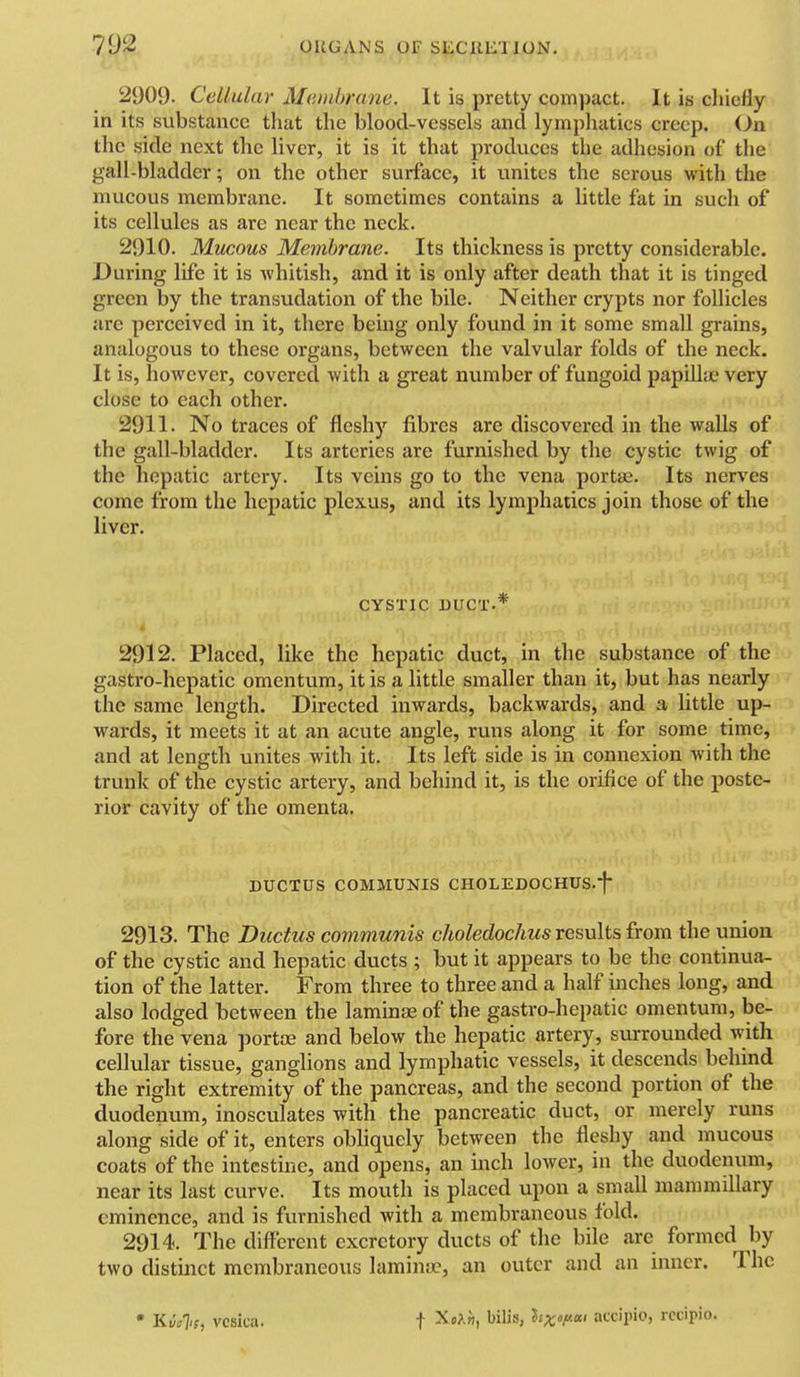 2909. Cellular Mainbrane. It is pretty compact. It is chiefly in its substance that the blood-vessels and lymphatics creep. On the side next the liver, it is it that produces the adhesion of the gall-bladder; on the other surface, it unites the serous with the mucous membrane. It sometimes contains a little fat in such of its cellules as are near the neck. 2910. Mucous Membrane. Its thickness is pretty considerable. During life it is whitish, and it is only after death that it is tinged green by the transudation of the bile. Neither crypts nor follicles are perceived in it, there being only found in it some small grains, analogous to these organs, between the valvular folds of the neck. It is, however, covered with a great number of fungoid papilla.' very close to each other. 2911. No traces of fleshy fibres are discovered in the walls of the gall-bladder. Its arteries are furnished by the cystic twig of the hepatic artery. Its veins go to the vena portae. Its nerves come from the hepatic plexus, and its lymphatics join those of the liver. CYSTIC DUCT-* 2912. Placed, like the hepatic duct, in the substance of the gastro-hepatic omentum, it is a little smaller than it, but has nearly the same length. Directed inwards, backwards, and a little up- wards, it meets it at an acute angle, runs along it for some time, and at length unites with it. Its left side is in connexion with the trunk of the cystic artery, and behind it, is the orifice of the poste- rior cavity of the omenta. DUCTUS COMMUNIS CHOLEDOCHUS.*}* 2913. The Ductus communis cJioledochus results from the union of the cystic and hepatic ducts ; but it appears to be the continua- tion of the latter. From three to three and a half inches long, and also lodged between the laminae of the gastro-hepatic omentum, be- fore the vena portse and below the hepatic artery, surrounded with cellular tissue, ganglions and lymphatic vessels, it descends behind the right extremity of the pancreas, and the second portion of the duodenum, inosculates with the pancreatic duct, or merely runs along side of it, enters obhquely between the fleshy and mucous coats of the intestine, and opens, an mch lower, in the duodenum, near its last curve. Its mouth is placed upon a small mammillary eminence, and is furnished with a membraneous fold. 2914. The different excretory ducts of the bile are formed by two distmct membraneous lamina?, an outer and an inner. The • Kvi]i;, vesica. •}■ Xo?.?!, bilis, hx'f-o accipio, rccipio.