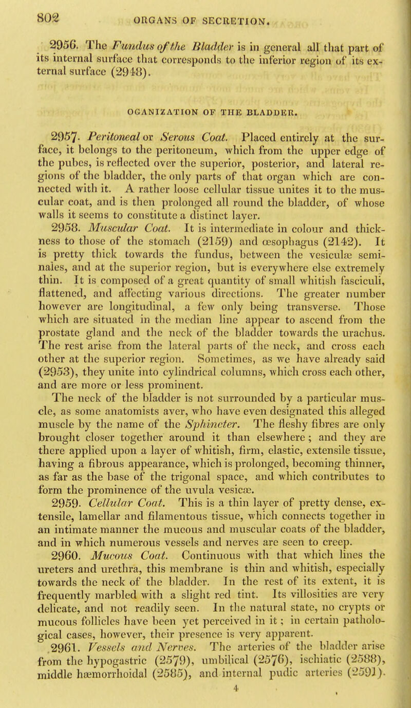 2956. The Fundus of the Bladder is in general all that part of its internal surface that corresponds to tlie inferior region of its ex- ternal surface (2918). OGANIZATION OF THE BLADDER. 2957. Peritoneal or Serous Coat. Placed entirely at the sur- face, it belongs to the peritoneum, which from the upper edge of the pubes, is reflected over the superior, posterior, and lateral re- gions of the bladder, the only parts of that organ which are con- nected with it. A rather loose cellular tissue unites it to the mus- cular coat, and is then prolonged all round the bladder, of whose walls it seems to constitute a distinct layer. 2958. Muscular Coat. It is intermediate in colour and thick- ness to those of the stomach (2159) and oesophagus (2142). It is pretty thick towards the fundus, between the vcsiculaa semi- naies, and at the superior region, but is everywhere else extremely thin. It is composed of a great quantity of small whitish fasciculi, flattened, and affecting various directions. The greater number however are longitudinal, a few only being transverse. Those which are situated in the median line appear to ascend from the prostate gland and the neck of the bladder towards the urachus. The rest arise from the lateral parts of the neck, and cross each other at the superior region. Sometimes, as we have already said (2953), they unite into cylindrical columns, which cross each other, and are more or less prominent. The neck of the bladder is not surrounded by a particular mus- cle, as some anatomists aver, who have even designated this alleged muscle by the name of the Sphincter. The fleshy fibres are only brought closer together around it than elsewhere; and they are there applied upon a layer of whitish, firm, elastic, extensile tissue, having a fibrous appearance, which is prolonged, becoming thinner, as far as the base of the trigonal space, and which contributes to form the prominence of the uvula vesicae. 2959- Cellular Coat. This is a thin layer of pretty dense, ex- tensile, lamellar and filamentous tissue, which connects together in an intimate manner the mucous and muscular coats of the bladder, and in which numerous vessels and nerves are seen to creep. 2960. Mucous Coat. Continuous with that which hues the ureters and urethra, this membrane is thin and whitish, especially towards the neck of the bladder. In the rest of its extent, it is frequently marbled with a slight red tint. Its villosities are very delicate, and not readily seen. In the natural state, no crypts or mucous follicles have been yet perceived in it; in certain patholo- gical cases, however, their presence is very apparent. .2961. Vessels and Nerves. The arteries of the bladder arise from the hypogastric (2579), umbilical (2576), ischiatic (2588), middle hoemorrhoidal (2585), and internal pudic arteries (2591)-