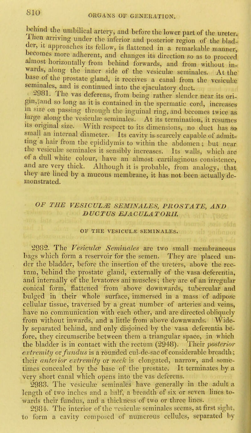 ORGANS OF GENERATION. behind the umbilical artery, and before the lower part of the ureter. Ihen arriving under the inferior and posterior region of the blad- der, It ai)proaches its fellow, is flattened in a remarkable manner, becomes more adherent, and changes its direction so as to proceed almost horizontally from behind forwards, and from without in- wards, along the inner side of the vesiculse seminales. At the base of the prostate gland, it receives a canal from the vcsiculye seminales, and is continued into the ejaculatory duct. t 2981. The vas deferens, from being rather slender near its ori- gin,i;and so long as it is contained in the spermatic cord, increases in size on passing through the inguinal ring, and becomes twice as large along the vesiculfE seminales. At its termination, it resumes Its original size. With respect to its dimensions, no duct has so small an internal diameter. Its cavity is-scarccly capable of admit- ting a hair from the epididymis to within the abdomen ; but near the vesiculac seminales it sensibly increases. Its walls, which are of a dull white colour, have an almost cartilaginous consistence, and are very thick. Although it is probable, from analogy, that they are lined by a mucous membrane, it has not been actually de- monstrated. OF THE VESICULJE SEMINALES. PROSTATE, AND DUCTUS EJACULATOIUI. OF THE VESICULiE SEMINALES. 2982. The VesiculcB Seminales are two small membraneous bags which form a reservoir for the semen. They are placed un- der the bladder, before the insertion of the ureters, above the rec- tum, behind the prostate gland, externally of the vasa deferentia, and internally of the levatores ani muscles; they are of an irregular conical form, flattened from above downwards, tubercular and bulged in their whole surface, immersed in a mass of adipose cellular tissue, traversed by a great number of arteries and veins, have no communication with each other, and are directed obliquely from without inwards, and a little from above downwards. Wide- ly separated behind, and only disjoined by the vasa deferentia be- fore, they circumscribe between them a triangular space, in which the bladder is in contact with the rectum (2948). Their posterior extremity or fundus is a rounded cul-de-sac of considerable breadth; their anterior extremity or neck is elongated, narrow, and some- times concealed by the base of the prostate. It terminates by a very short canal which opens into the vas deferens. 2983. The vesiculje seminales have generally in the adult a length of two inches and a half, a breadth of six or seven lines to- %vards their fundus, and a thickness of two or three lines. 2984. The interior of the vcsicula' seminales seems, at first sight, to form a cavity composed of numerous cellules, separated by