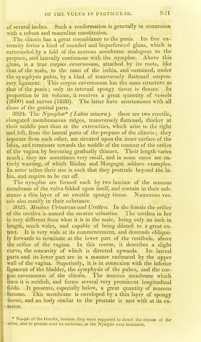 OF THE VULVA IN PAUTICULAll. of several inches. Such a conformation is generally in connexion with a robust and masculine constitution. The clitoris has a great resemblance to the penis. Its free ex- tremity forms a kind of rounded and imperforated glans, which is surrounded by a fold of the mucous membrane analogous to the prepuce, and laterally continuous with the nymphse. Above this glans, is a true corpus cavernosum, attached by its roots, like that of the male, to the rami of the ischia, and sustained, under the symphysis pubis, by a kind of transversely flattened suspen- sory ligament. This corpus cavernosum has the same structure as that of the penis ; only its internal spongy tissue is denser. In proportion to its volume, it receives a great quantity of vessels (2600) and nerves (1838). The latter have anastomoses with all those of the genital parts. 3024i. The Nymphce* (Labia minora). these are two erectile, elongated membraneous ridges, transversely flattened, thicker at their middle part than at the extremities, which arise to the right and left, from the lateral parts of the prepuce of the clitoris; they separate from each other, are situated upon the inner surface of the labia, and terminate towards the middle of the contour of the oriflce of the vagina by becoming gradually thinner. Their length varies much; they are sometimes very small, and in some cases are en- tirely wanting, of which Riolan and Morgagni adduce examples. In some tribes their size is such that they protrude beyond the la- bia, and require to be cut off. The nymphae are formed each by two laminae of the mucous membrane of the vulva folded upon itself, and contain in their sub- stance a thin layer of an erectile spongy tissue. Numerous ves- sels also ramify in their substance. 3025. Meatus Urinarius and Urethra. In the female the orifice of the urethra is named the meatus urinarius. The urethra in her is very difl'erent from what it is in the male, being only an inch in length, much wider, and capable of being dilated to a great ex- tent. It is very wide at its commencement, and descends oblique- ly forwards to terminate at the lower part of the vestibule, above the orifice of the vagina. In this course, it describes a shght curve, the concavity of which is directed upwards. Its lateral parts and its lower part are in a manner embraced by the upper wall of the vagina. Superiorly, it is in connexion with the inferior ligament of the bladder, the symphysis of the pubes, and the cor- pus cavernosum of the chtoris. The mucous membrane which lines it is reddish, and forms several very prominent longitudinal i folds. It presents, especially below, a great quantity of mucous 1 lacunae. This membrane is enveloped by a thin layer of spongy 1 tissue, and no body similar to the prostate is met with at its ex- I terior.  1ivfA(pui of tlie GrcekF, because tlicy were supposed to direct the stream of the . urine, and to preside over its emission, as the Nymplis over fountains.