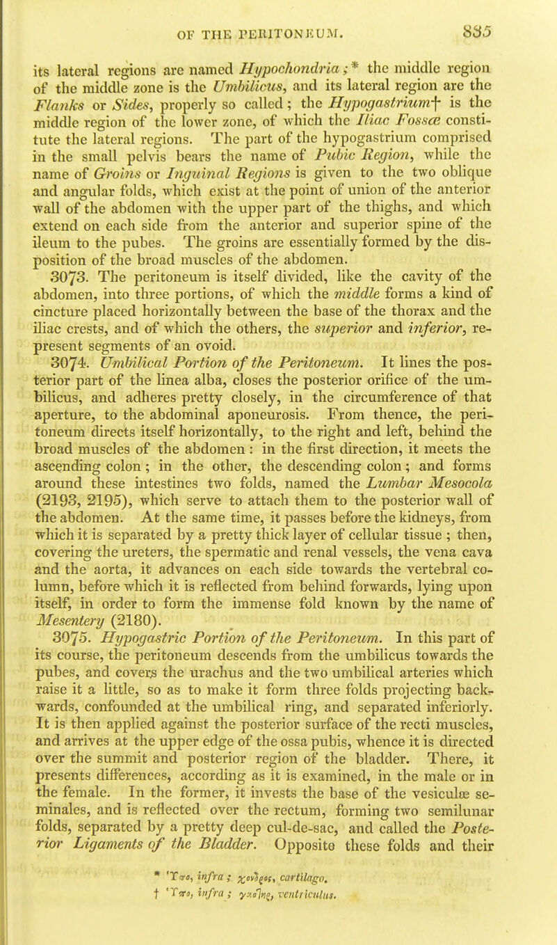 its lateral regions are named Hypochondria; * the middle region of the middle zone is the Umbilicus, and its lateral region are the Flayiks or Sides, properly so called; the Hypogastriumf is the middle region of the lower zone, of which the Iliac Fossce consti- tute the lateral regions. The part of the hypogastrium comprised in the small pelvis bears the name of Fiibic Region, while the name of Groins or Inguinal Regions is given to the two oblique and angular folds, which exist at the point of union of the anterior wall of the abdomen with the upper part of the thighs, and which extend on each side from the anterior and superior spine of the ileum to the pubes. The groins are essentially formed by the dis- position of the broad muscles of the abdomen. 3073. The peritoneum is itself divided, like the cavity of the abdomen, into three portions, of which the middle forms a kind of cincture placed horizontally between the base of the thorax and the iliac crests, and of which the others, the superior and inferior, re- present segments of an ovoid. 3074. Umbilical Portion of the Peritoneum. It lines the pos- terior part of the Unea alba, closes the posterior orifice of the um- bilicus, and adheres pretty closely, in the circumference of that aperture, to the abdominal aponeurosis. From thence, the peri- toneum directs itself horizontally, to the right and left, behind the broad muscles of the abdomen : in the first direction, it meets the ascending colon ; in the other, the descending colon; and forms around these intestines two folds, named the Lumbar Mesocola (2193, 2195), which serve to attach them to the posterior waU of the abdomen. At the same time, it passes before the kidneys, from which it is separated by a pretty thick layer of cellular tissue ; then, covering the ureters, the spermatic and renal vessels, the vena cava and the aorta, it advances on each side towards the vertebral co- lumn, before which it is reflected from behind forwards, lying upon itself, in order to form the immense fold known by the name of Mesentery (2180). 3075. Hypogastric Portion of the Peritoneum. In this part of its course, the peritoneum descends from the umbilicus towards the pubes, and covers the urachus and the two umbilical arteries which raise it a little, so as to make it form three folds projecting back- wards, confounded at the umbilical ring, and separated inferiorly. It is then applied against the posterior surface of the recti muscles, and arrives at the upper edge of the ossa pvibis, whence it is directed over the summit and posterior region of the bladder. There, it presents differences, according as it is examined, in the male or in the female. In the former, it invests the base of the vesiculoe se- minales, and is reflected over the rectum, forming two semilunar folds, separated by a pretty deep cul-de-sac, and called the Poste- rior Ligaments of the Bladder. Opposite these folds and their  'Tre, infra ; ^cy^^tf, cartilago, t '^^to; infra ; yxajn^, ventriculut.