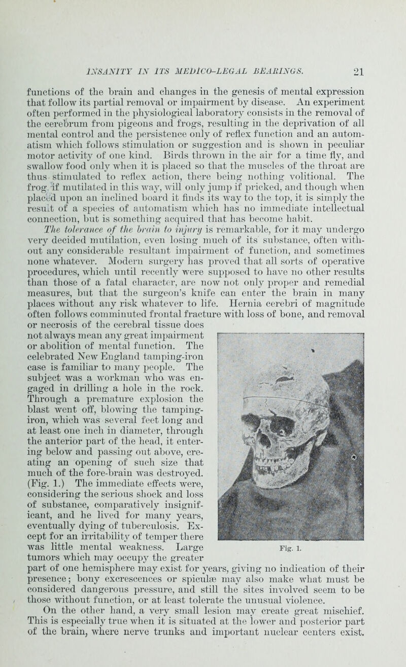 functions of the brain and changes in the genesis of mental expression that follow its partial removal or impairment by disease. An experiment often performed in the physiological laboratory consists in the removal of the cerebrum from pigeons and frogs, resulting in the deprivation of all mental control and the persistence only of reflex function and an autom- atism which follows stimulation or suggestion and is shown in peculiar motor activity of one kind. Birds thrown in the air for a time fly, and swallow food only when it is placed so that the muscles of the throat are thus stimulated to reflex action, there being nothing volitional. The frog if mutilated in this way, will only jump if pricked, and though when placiid upon an inclined board it finds its way to the top, it is simply the result of a species of automatism which has no immediate intellectual connection, but is something acquired that has become habit. The tolerance of the brain to injury is remarkable, for it may undergo very decided mutilation, even losing much of its substance, often with- out any considerable resultant impairment of function, and sometimes none whatever. Modern surgery has proved that all sorts of operative procedures, which until recently were supposed to have no other results than those of a fatal character, are now not only proper and remedial measures, but that the surgeon’s knife can enter the brain in many places without any risk whatever to life. Hernia cerebri of magnitude often follows comminuted frontal fracture with loss of bone, and removal or necrosis of the cerebral tissue does not always mean any great impairment or abolition of mental function. The celebrated New England tamping-iron case is familiar to many people. The subject was a workman who. was en- gaged in drilling a hole in the rock. Through a premature explosion the blast went off, blowing the tamping- iron, which was several feet long and at least one inch in diameter, through the anterior part of the head, it enter- ing below and passing out above, cre- ating an opening of such size that much of the fore-brain was destroyed. (Fig. 1.) The immediate effects were, considering the serious shock and loss of substance, comparatively insignif- icant, and he lived for many years, eventually dying of tuberculosis. Ex- cept for an irritability of temper there was little mental weakness. Large tumors which may occupy the greater part of one hemisphere may exist for years, giving no indication of their presence; bony excrescences or spiculae may also make what must be considered dangerous pressure, and still the sites involved seem to be those without function, or at least tolerate the unusual violence. On the other hand, a very small lesion may create great mischief. This is especially true when it is situated at the lower and posterior part of the brain, where nerve trunks and important nuclear centers exist. Fig. 1.