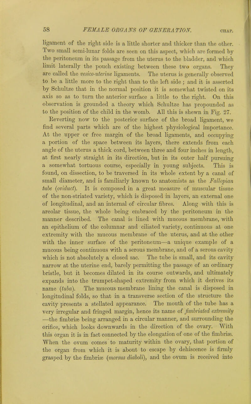 CHAr. ligament of the right side is a little shorter and thicker than the other. Two small semi-lunar folds are seen on this aspect, which are formed by the peritoneum in its passage from the uterus to the bladder, and which limit laterally the pouch existing between these two organs. They are called the vesico-uterine ligaments. The uterus is generally observed to be a little more to the right than to the left side ; and it is asserted by Schultze that in the normal position it is somewhat twisted on its axis so as to turn the anterior surface a little to the right. On this observation is grounded a theory which Schultze has propounded as to the position of the child in the womb. All this is shewn in Fig. 27. Reverting now to the posterior surface of the broad ligament, we find several parts which are of the highest physiological importance. At the upper or free margin of the broad ligaments, and occupying a portion of the space between its layers, there extends from each angle of the uterus a thick cord, between three and four inches in length, at first nearly straight in its direction, but in its outer half pursuing a somewhat tortuous course, especially in young subjects. This is found, on dissection, to be traversed in its whole extent by a canal of small diameter, and is familiarly lrnoAvn to anatomists as the Fallopian tube (oviduct). It is composed in a great measure of muscular tissue of the non-striatecl variety, which is disposed in layers, an external one of longitudinal, and an internal of circular fibres. Along with this is areolar tissue, the whole being embraced by the peritoneum in the manner described. The canal is lined with mucous membrane, with an epithelium of the columnar and ciliated variety, continuous at one extremity with the mucous membrane of the uterus, and at the other with the inner surface of the peritoneum—a unique example of a mucous being continuous with a serous membrane, and of a serous cavity which is not absolutely a closed sac. The tube is small, and its cavity narrow at the uterine end, barely permitting the passage of an ordinary bristle, but it becomes dilated in its course outwards, and ultimately expands into the trumpet-shaped extremity from which it derives its name (tuba). The mucous membrane lining the canal is disposed in longitudinal folds, so that in a transverse section of the structure the cavity presents a stellated appearance. The mouth of the tube has a very irregular and fringed margin, hence its name of fimbriated extremity —the fimbriae being arranged in a circular manner, and surrounding the orifice, which looks downwards in the direction of the ovary. With this organ it is in fact connected by the elongation of one of the fimbriae. When the ovum comes to maturity within the ovary, that portion of the organ from which it is about to escape by dehiscence is firmly grasped by the fimbriae (morsus diaboli), and the ovum is received into