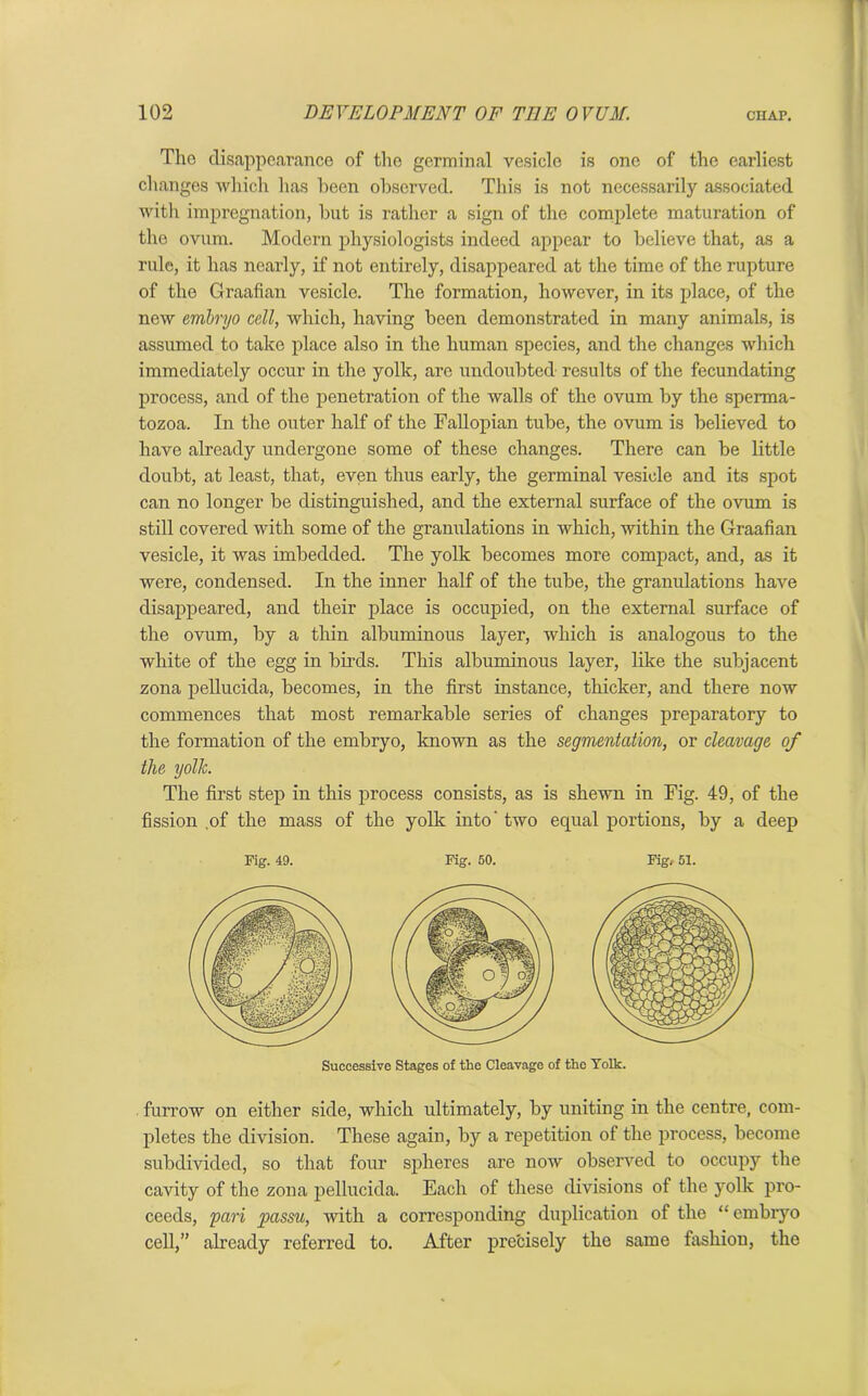 The disappearance of the germinal vesicle is one of the earliest changes which has been observed. This is not necessarily associated with impregnation, hut is rather a sign of the complete maturation of the ovum. Modern physiologists indeed appear to believe that, as a rule, it has nearly, if not entirely, disappeared at the time of the rupture of the Graafian vesicle. The formation, however, in its place, of the new embryo cell, which, having been demonstrated in many animals, is assumed to take place also in the human species, and the changes which immediately occur in the yolk, are undoubted results of the fecundating process, and of the penetration of the walls of the ovum by the sperma- tozoa. In the outer half of the Fallopian tube, the ovum is believed to have already undergone some of these changes. There can be little doubt, at least, that, even thus early, the germinal vesicle and its spot can no longer be distinguished, and the external surface of the ovum is still covered with some of the granulations in which, within the Graafian vesicle, it was imbedded. The yolk becomes more compact, and, as it were, condensed. In the inner half of the tube, the granulations have disappeared, and their place is occupied, on the external surface of the ovum, by a thin albuminous layer, which is analogous to the white of the egg in birds. This albuminous layer, like the subjacent zona pellucida, becomes, in the first instance, thicker, and there now commences that most remarkable series of changes preparatory to the formation of the embryo, known as the segmentation, or cleavage of the yolk. The first step in this process consists, as is shewn in Fig. 49, of the fission ,of the mass of the yolk into' two equal portions, by a deep Fig. 49. Fig. 50. Fig.- 51. Successive Stages of the Cleavage of the Yolk. furrow on either side, which ultimately, by uniting in the centre, com- pletes the division. These again, by a repetition of the process, become subdivided, so that four spheres are now observed to occupy the cavity of the zona pellucida. Each of these divisions of the yolk pro- ceeds, pari passu, with a corresponding duplication of the “ embryo cell,” already referred to. After precisely the same fashiou, the