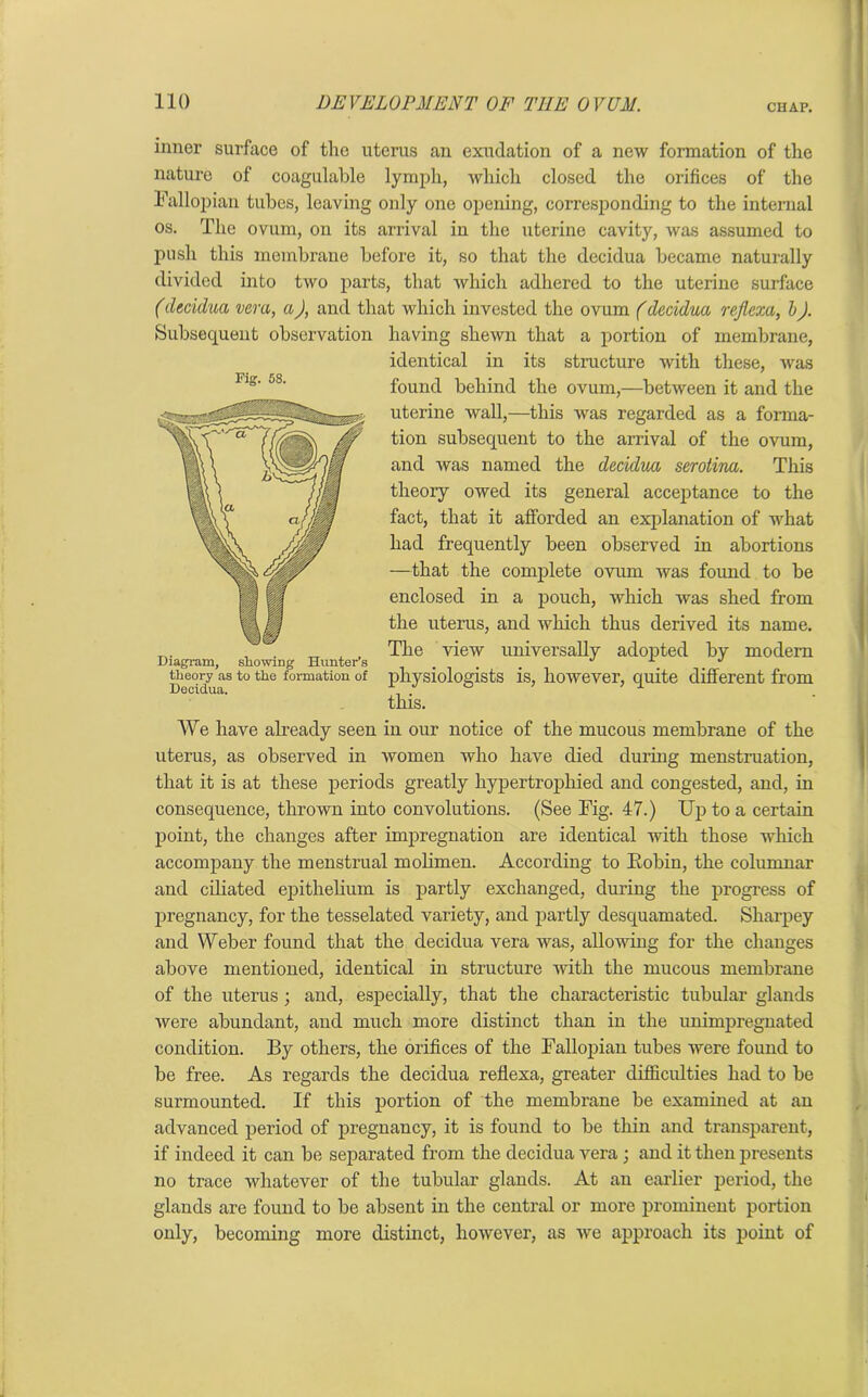 Fig. 58. inner surface of the uterus an exudation of a new formation of the nature of coagulable lymph, which closed the orifices of the Fallopian tubes, leaving only one opening, corresponding to the internal os. The ovum, on its arrival in the uterine cavity, was assumed to push this membrane before it, so that the decidua became naturally divided into two parts, that which adhered to the uterine surface (decidua vera, aJ, and that which invested the ovum (decidua rejlexa, b). Subsequent observation having shewn that a portion of membrane, identical in its structure with these, was found behind the ovum,—between it and the uterine wall,—this was regarded as a forma- tion subsequent to the arrival of the ovum, and was named the decidua serotina. This theory owed its general acceptance to the fact, that it afforded an explanation of what had frequently been observed in abortions —that the complete ovum was found to be enclosed in a pouch, which was shed from the uterus, and which thus derived its name. The view universally adopted by modern physiologists is, however, quite different from this. We have already seen in our notice of the mucous membrane of the uterus, as observed in women who have died during menstruation, that it is at these periods greatly hypertrophied and congested, and, in consequence, thrown into convolutions. (See Fig. 47.) Up to a certain point, the changes after impregnation are identical with those which accompany the menstrual molimen. According to Eobin, the columnar and ciliated epithelium is partly exchanged, during the progress of pregnancy, for the tesselated variety, and partly desquamated. Sharpey and Weber found that the decidua vera was, allowing for the changes above mentioned, identical in structure with the mucous membrane of the uterus; and, especially, that the characteristic tubular glands were abundant, and much more distinct than in the unimpregnated condition. By others, the orifices of the Fallopian tubes were found to be free. As regards the decidua reflexa, greater difficulties had to be surmounted. If this portion of the membrane be examined at an advanced period of pregnancy, it is found to be thin and transparent, if indeed it can be separated from the decidua vera; and it then presents no trace whatever of the tubular glands. At an earlier period, the glands are found to be absent in the central or more prominent portion only, becoming more distinct, however, as Ave approach its point of Diagram, stowing Hunter’s theory as to the formation of Decidua.