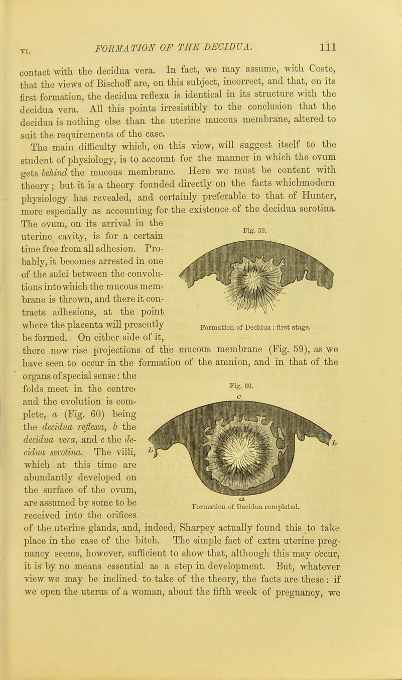 contact with the decidua vera. In fact, we may assume, with Coste, that the views of Bischoff are, on this subject, incorrect, and that, on its first formation, the decidua reflexa is identical in its structure with the decidua vera. All this points irresistibly to the conclusion that the decidua is nothing else than the uterine mucous membrane, altered to suit the requirements of the case. The main difficulty which, on this view, will suggest itself to the student of physiology, is to account for the manner in which the ovum gets behind the mucous membrane. Here we must be content with theory; but it is a theory founded directly on the facts whichmodern physiology has revealed, and certainly preferable to that of Hunter, more especially as accounting for the existence of the decidua serotina. The ovum, on its arrival in the uterine cavity, is for a certain time free from all adhesion. Pro- bably, it becomes arrested in one of the sulci between the convolu- tions into which the mucous mem- brane is throw, and there it con- tracts adhesions, at the point where the placenta will presently Formation of Decidua ; first stage, be formed. On either side of it, there now rise projections of the mucous membrane (Fig. 59), as we have seen to occur in the formation of the amnion, and in that of the organs of special sense: the folds meet in the centre; and the evolution is com- plete, a (Fig. 60) being the decidua reflexa, b the decidua vera, and c the de- cidua serotina. The villi, which at this time are abundantly developed on the surface of the ovum, are assumed by some to be received into the orifices of the uterine glands, and, indeed, Sharpey actually found this to take place in the case of the bitch. The simple fact of extra uterine preg- nancy seems, however, sufficient to show that, although this may o'ccur, it is by no means essential as a step in development. But, whatever view we may be inclined to take of the theory, the facts are these: if we open the uterus of a woman, about the fifth week of pregnancy, we Fig. 60. c CL Formation of Decidua completed.