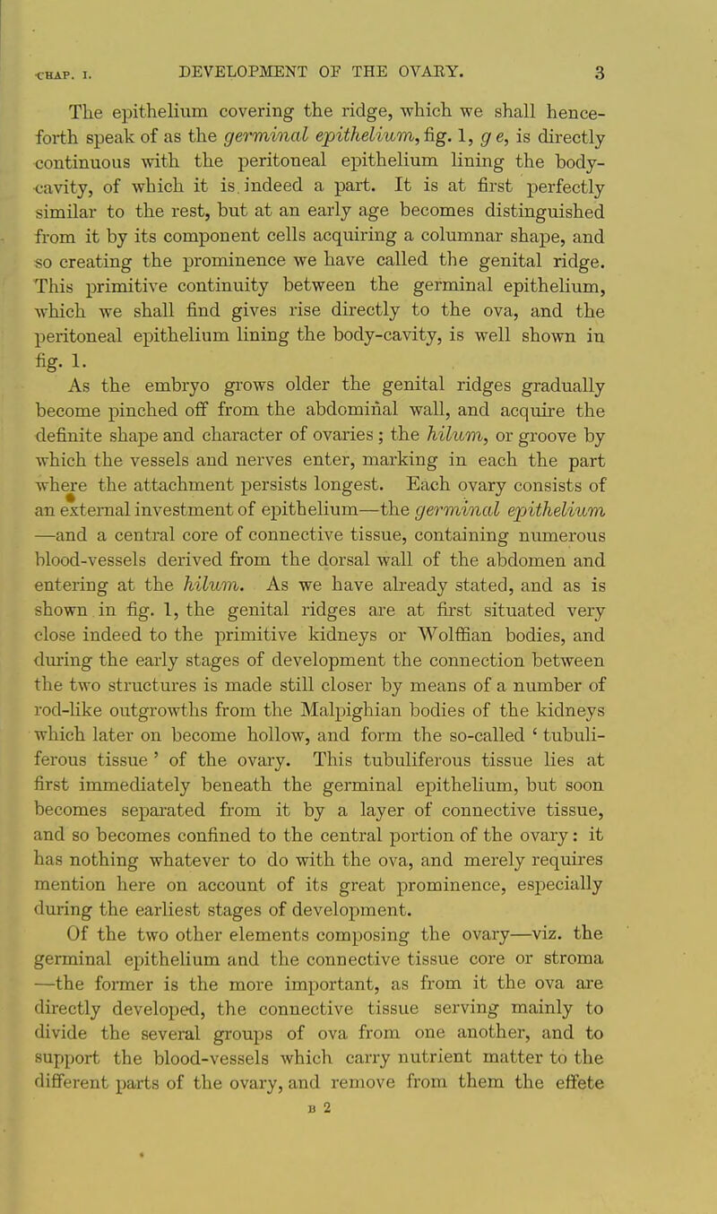The epithelium covering the ridge, which we shall hence- forth speak of as the germinal epithelium, fig. 1, g e, is directly continuous with the peritoneal epithelium lining the body- cavity, of which it is. indeed a part. It is at first perfectly similar to the rest, but at an early age becomes distinguished from it by its component cells acquiring a columnar shape, and so creating the prominence we have called the genital ridge. This primitive continuity between the germinal epithelium, which we shall find gives rise directly to the ova, and the peritoneal epithelium lining the body-cavity, is well shown in fig. 1. As the embryo grows older the genital ridges gradually become pinched off from the abdominal wall, and acquire the definite shape and character of ovaries ; the hilum, or groove by which the vessels and nerves enter, marking in each the part where the attachment persists longest. Each ovary consists of an external investment of epithelium—the germinal epithelium —and a central core of connective tissue, containing numerous blood-vessels derived from the dorsal wall of the abdomen and entering at the hilum. As we have already stated, and as is shown in fig. 1, the genital ridges are at first situated very close indeed to the primitive kidneys or Wolffian bodies, and during the early stages of development the connection between the two structures is made still closer by means of a number of rod-like outgrowths from the Malpighian bodies of the kidneys which later on become hollow, and form the so-called ' tubuli- ferous tissue ' of the ovary. This tubuliferous tissue lies at first immediately beneath the germinal epithelium, but soon becomes separated from it by a layer of connective tissue, and so becomes confined to the central portion of the ovary: it has nothing whatever to do with the ova, and merely requires mention here on account of its great prominence, especially during the earliest stages of development. Of the two other elements composing the ovary—^viz. the germinal epithelium and the connective tissue core or stroma —the former is the more important, as from it the ova are directly developed, the connective tissue serving mainly to divide the several groups of ova from one another, and to support the blood-vessels which carry nutrient matter to the diflFerent parts of the ovary, and remove from them the effete I) 2