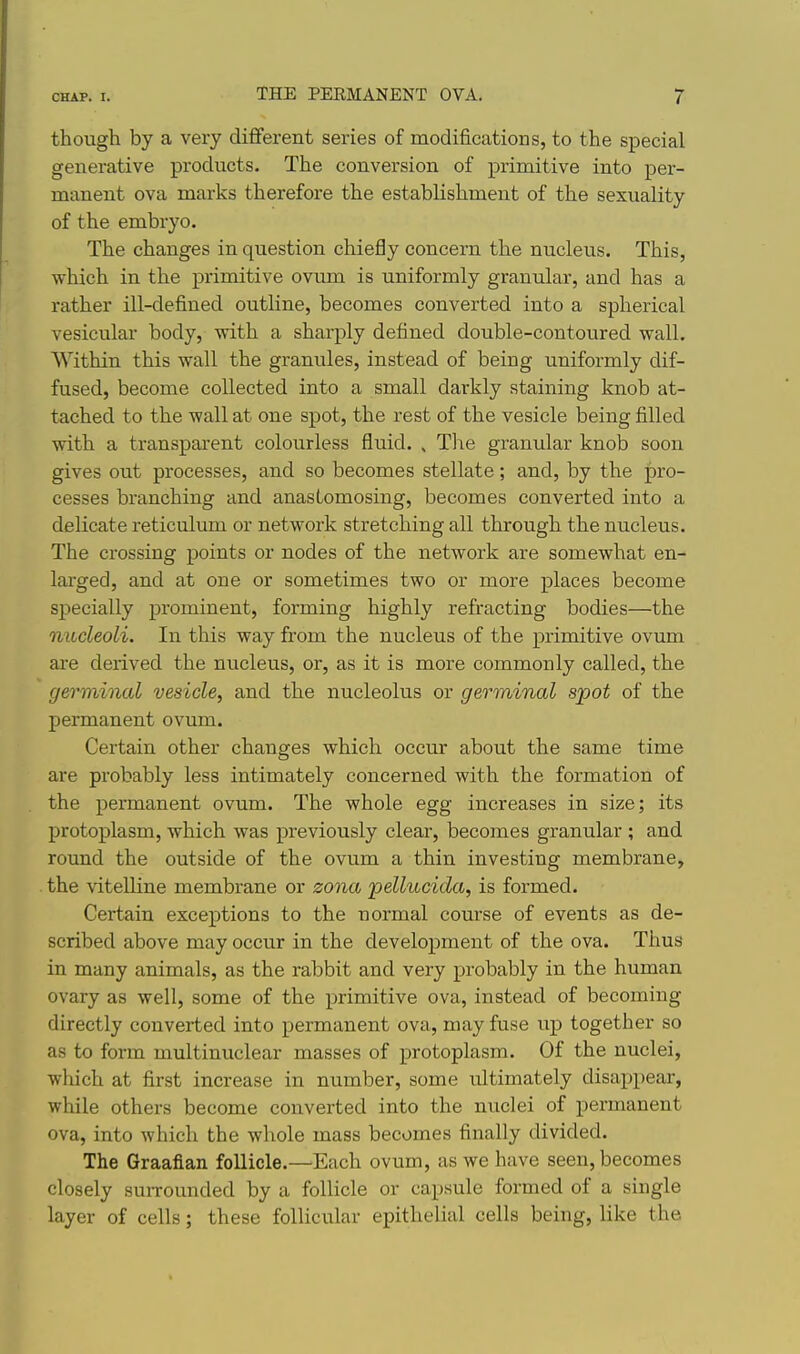 though by a very dififerent series of modifications, to the special generative products. The conversion of primitive into per- manent ova marks therefore the establishment of the sexuality of the embryo. The changes in question chiefly concern the nucleus. This, which in the primitive ovum is uniformly granular, and has a rather ill-defined outline, becomes converted into a spherical vesicular body, with a sharply defined double-contoured wall. Within this wall the granules, instead of being uniformly dif- fused, become collected into a small darkly staining knob at- tached to the wall at one spot, the rest of the vesicle being filled with a transparent colourless fluid. , The granular knob soon gives out processes, and so becomes stellate; and, by the pro- cesses branching and anastomosing, becomes converted into a delicate reticulum or network stretching all through the nucleus. The crossing points or nodes of the network are somewhat en- larged, and at one or sometimes two or more places become specially prominent, forming highly refracting bodies—the nucleoli. In this way from the nucleus of the primitive ovum are derived the nucleus, or, as it is more commonly called, the germinal vesicle, and the nucleolus or germinal spot of the permanent ovum. Certain other changes which occur about the same time are probably less intimately concerned with the formation of the permanent ovum. The whole egg increases in size; its protoplasm, which was previously clear, becomes granular ; and round the outside of the ovum a thin investing membrane, the vitelline membrane or zona pellucida, is formed. Certain exceptions to the normal course of events as de- scribed above may occur in the development of the ova. Thus in many animals, as the rabbit and very probably in the human ovary as well, some of the primitive ova, instead of becoming directly converted into permanent ova, may fuse up together so as to form multinuclear masses of protoplasm. Of the nuclei, which at first increase in number, some ultimately disappear, while others become converted into the nuclei of permanent ova, into which the whole mass becomes finally divided. The Graafian follicle.—Each ovum, as we have seen, becomes closely suiTounded by a follicle or capsule formed of a single layer of cells; these follicular epithelial cells being, like the