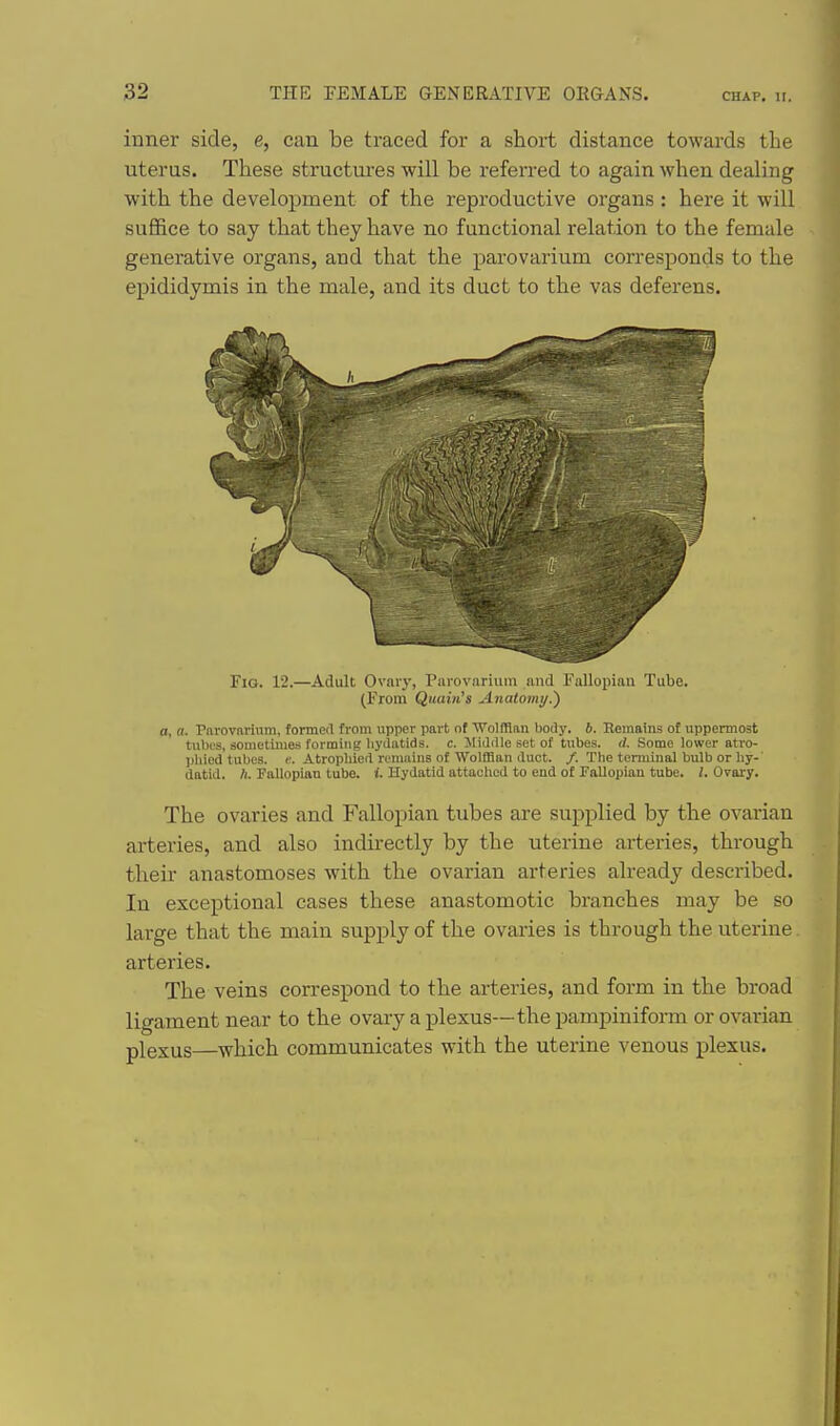 inner side, e, can be traced for a short distance towards the uterus. These structures will be referred to again when dealing with the development of the reproductive organs : here it will suffice to say that they have no functional relation to the female generative organs, and that the parovarium corresponds to the epididymis in the male, and its duct to the vas deferens. L Fig. 12.—Adult Ovary, I'lirovariiiiu and i'alioijiaii Tube. (From Quain's Anatomy.') a, a. rarovarium, formed from upper part of WoIITlau body. 6. Eemains of uppermost tubes, sometimes forming hydatids, c. Middle set of tubes. (I. Some lower atro- phied tubes, c. Atrophied remains of Wolffian duct. /. The terminal bulb or hy-' datid. Ii. Fallopian tube. i. Hydatid attached to end of Fallopian tube. I. Ovary. The ovaries and Fallopian tubes are supplied by the ovarian arteries, and also indirectly by the uterine arteries, through their anastomoses with the ovarian arteries already described. In exceptional cases these anastomotic branches may be so large that the main supply of the ovaries is through the uterine arteries. The veins correspond to the arteries, and form in the broad ligament near to the ovary a plexus—the pampiniform or ovarian plexus—which communicates with the uterine venous plexus.