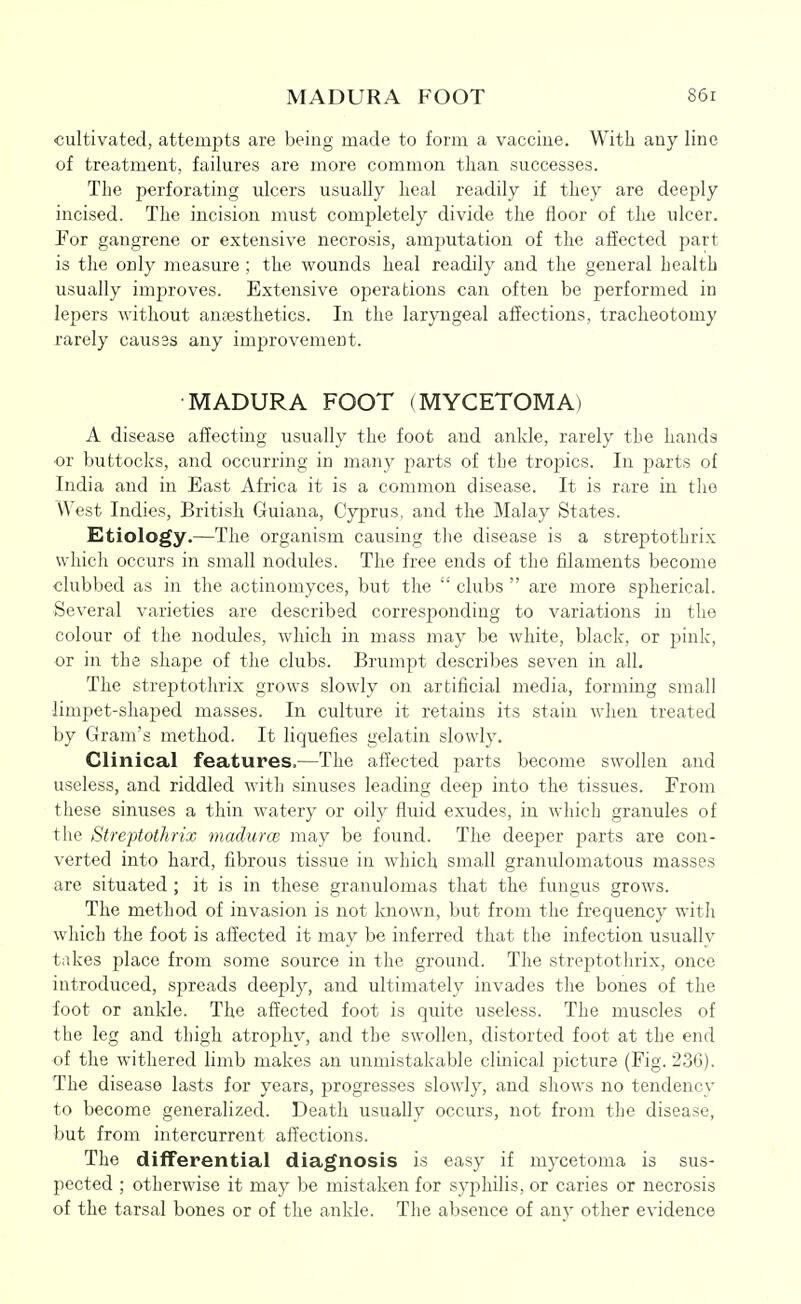 cultivated, attempts are being made to form a vaccine. With any line of treatment, failures are more common than successes. The perforating ulcers usually heal readily if they are deeply incised. The incision must completely divide the floor of the ulcer. Por gangrene or extensive necrosis, amputation of the affected part is the only measure; the wounds heal readily and the general health usually improves. Extensive operations can often be performed in lepers without anassthetics. In the larjTigeal affections, tracheotomy rarely causss any improvement. MADURA FOOT (MYCETOMA) A disease affecting usually the foot and ankle, rarely the hands or buttocks, and occurring in many parts of the tropics. In parts of India and in East Africa it is a common disease. It is rare in the West Indies, British Guiana, Cyprus, and the Malay States. Etiology.—The organism causing tlie disease is a streptothrix which occurs in small nodules. The free ends of the filaments become clubbed as in the actinomyces, but the  clubs  are more spherical. Several varieties are described corresponding to variations in the colour of the nodules, which in mass may be white, black, or pink, or in the shape of the clubs. Brumpt describes seven in all. The streptothrix grows slowly on artificial media, forming small limpet-shaped masses. In culture it retains its stain when treated by Gram's method. It liquefies gelatin slowly. Clinical features.—The affected parts become swollen and useless, and riddled with sinuses leading deep into the tissues. From these sinuses a thin watery or oily fluid exudes, in which granules of the Streptothrix madurcB may be found. The deeper parts are con- verted into hard, fibrous tissue in which small granulomatous masses are situated ; it is in these granulomas that the fungus grows. The method of invasion is not known, but from the frequency with which the foot is affected it may be inferred that the infection usually takes place from some source in the ground. The streptothrix, once introduced, spreads deeply, and ultimately invades the bones of the foot or ankle. The affected foot is quite useless. The muscles of the leg and thigh atrophy, and the swollen, distorted foot at the end of the withered limb makes an unmistakable clinical picture (Fig. 236). The disease lasts for years, progresses slowly, and shows no tendency to become generalized. Death usually occurs, not from the disease, but from intercurrent affections. The differential diagnosis is easy if mycetoma is sus- pected ; otherwise it may be mistaken for syphilis, or caries or necrosis of the tarsal bones or of the ankle. The absence of any other evidence