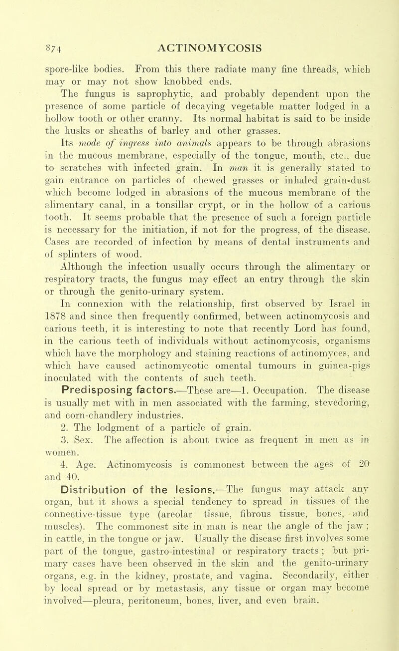 spore-like bodies. From this there radiate many fine threads, which may or may not show Icnobbed ends. The fungus is saprophytic, and probably dependent upon the presence of some particle of decaying vegetable matter lodged in a hollow tooth or other cranny. Its normal habitat is said to be inside the husks or sheaths of barley and other grasses. Its mode of ingress into animals appears to be through abrasions in the mucous membrane, especially of the tongue, mouth, etc., due to scratches with infected grain. In man it is generally stated to gain entrance on particles of chewed grasses or inhaled grain-dust which become lodged in abrasions of the mucous membrane of the alimentary canal, in a tonsillar crypt, or in the hollow of a carious tooth. It seems probable that the presence of such a foreign particle is necessary for the initiation, if not for the progress, of the disease. Cases are recorded of infection by means of dental instruments and of splinters of wood. Although the infection usually occurs through the alimentary or respiratory tracts, the fungus may effect an entry through the skin or through the genito-urinary system. In connexion with the relationship, first observed by Israel in 1878 and since then frequently confirmed, between actinomycosis and carious teeth, it is interesting to note that recently Lord has found, in the carious teeth of individuals without actinomycosis, organisms wliich have the morphology and staining reactions of actinomyces, and which have caused actinomycotic omental tumours in guinea-pigs inoculated with the contents of such teeth. Predisposing factors.—These are—1. Occupation. The disease is usually met with in men associated with the farming, stevedoring, and corn-chandlery industries. 2. The lodgment of a particle of grain. 3. Sex. The afiection is about twice as frequent in men as in women. 4. Age. Actinomycosis is commonest between the ages of 20 and 40. Distribution of the lesions.—The fungus may attack any organ, but it shows a special tendency to spread in tissues of the connective-tissue type (areolar tissue, fibrous tissue, bones, and muscles). The commonest site in man is near the angle of the jaw; in cattle, in the tongue or jaw. Usually the disease first involves some part of the tongue, gastro-intestinal or respiratory tracts ; but pri- mary cases have been observed in the skin and the genito-urinary organs, e.g. in the kidney, prostate, and vagina. Secondarily, either by local spread or by metastasis, any tissue or organ may become involved—pleura, peritoneum, bones, liver, and even brain.