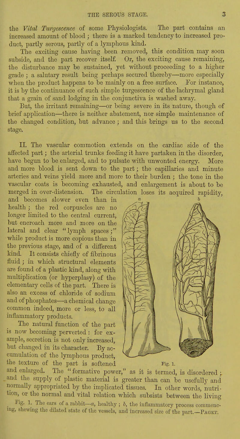 the Vital Turgescence of some Physiologists. The part contains an increased amount of blood ; there is a marked tendency to increased pro- duct, partly serous, partly of a lymphous kind. The exciting cause having been removed, this condition may soon subside, and the part recover itself. Or, the exciting cause remaining, the disturbance may be sustained, yet without proceeding to a higher grade ; a salutary result being perhaps secured thereby—more especially when the j)roduct happens to be mainly on a free surface. For instance, it is by the continuance of such simple turgescence of the lachrymal gland that a grain of sand lodging in the conjunctiva is washed away. But, the irritant remaining—or being severe in its nature, though of brief application—there is neither abatement, nor simple maintenance of the changed condition, but advance; and tliis brings us to the second stage. II. The vascular commotion extends on the cardiac side of the affected part j the arterial trunks feeding it have partaken in the disorder, have begun to be enlarged, and to pulsate with unwonted energy. More and more blood is sent down to the part; the capillaries and minute arteries and veins yield more and more to their burden ; the tone in the vascular coats is becoming exhausted, and enlargement is about to be merged in over-distension. The circulation loses its acquired rapidity, and becomes slower even than in health; the red corpuscles are no longer limited to the central current, but encroach more and more on the lateral and clear  lymph spaces ; while product is more copious than in the previous stage, and of a different kind. It consists chiefly of fibrinous fluid; in which structural elements are found of a plastic kind, along with multiphcation (or hyperplasy) of the elementary cells of the part. There is also an excess of chloride of sodium and of phosphates—a chemical change common indeed, more or less, to all inflammatory products. The natui'al function of the part is now becoming perverted : for ex- ample, secretion is not only increased, but changed in its character. Ey ac- cumulation of the lymphous product, the texture of the part is softened Fig. i. and enlarged. The  formative power, as it is termed, is disordered ; - the supply of plastic material is greater than can be usefully and normally appropriated by the implicated tissues. In other words, nutri- tion, or the normal and vital relation whicli subsists between the living Fig. 1. The ears of a rabbit—a, healthy ; h, the inflammatory process commenc- ing, shewing the dilated state of the vessels, and increased size of the part.—Paget.