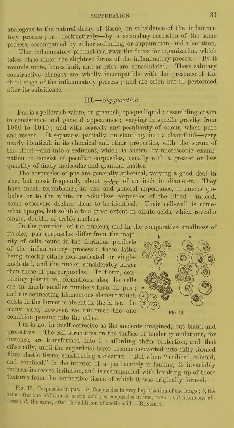 analogous to tho natural decay of tissue, on subsidence of tlio iniiamma- tory process; or—destructively—by a secondary accession of tlie same process, accompanied by either softening, or suppuration, and ulceration. That inflammatory product is always the fittest for organization, which takes place under the shghtest forms of the inflammatory process. By it wounds unite, bones knit, and arteries are consolidated. These salutary constructive changes are wholly incompatible Avith the presence of the third stcige of the inflammatory process ; and are often but ill performed after its subsidence. III. —Suppuration. Pus is a yellowish-white, or greenish, opaque liquid ; resembling, cream in consistence and general appearance; varying in specific gravity from 1030 to 1040; and with scarcely any peculiarity of odour, when pure and recent. It separates partially, on standing, into a clear fluid—very nearly identical, in its chemical and other properties, with the serum of the blood—and into a sediment, which is shewn by microscopic exami- nation to consist of peculiar corpuscles, usually with a greater or less quantity of finely molecular and granular matter. The corpuscles of pus are generally spherical, varying a good deal in size, but most frequently about ^ soo m.ch. in diameter. They have much resemblance, in size and general appearance, to mucus glo- bules or to the white or colourless corpuscles of the blood—indeed, some observers declare them to be identical. Their cell-wall is some- what opaque, but soluble to a great extent in dilute acids, which reveal a single, double, or treble nucleus. In the partition of the nucleus, and in the comparative smallness of its size, pus corpuscles differ from the majo- rity of cells found in the fibrinous products of the inflammatory process ; these latter being mostly either non-nucleated or single- nucleated, and the nuclei considerably larger than those of pus corpuscles. In fibrin, con- taining plastic cell-formations, also, the cells are in much smaller numbers than in pus ; and the connecting filamentous element which exists in the former is absent in the latter. In many cases, however, we can trace the one ^'^'~ jg condition passing into the other. Pus is not in itself corrosive as the ancients imagined, but bland and protective. The cell structm-es on the surface of tender granulations, for instance, are transformed into it; aff'ording thdm protection, and that effectually, until the superficial layer become converted into fully formed fibro-plastic tissue, constituting a cicatrix. But when cribbed, cabin'd, and confined, in the interior of a part acutely inflaming, it invariably induces increased irritation, and is accompanied with breaking up of those textures from the connective tissue of which it was originally formed. Fig. 1.3, Corpu-gcles in pus, a, Corpuscles in gi-ey hepatization of tho hmgs ; h, the same after the addition of acetic acid ; c, coi-puscles in pus, from a subcutaneous ab- scess ; d, the same, after the addition of acetic acid.—Bennett.