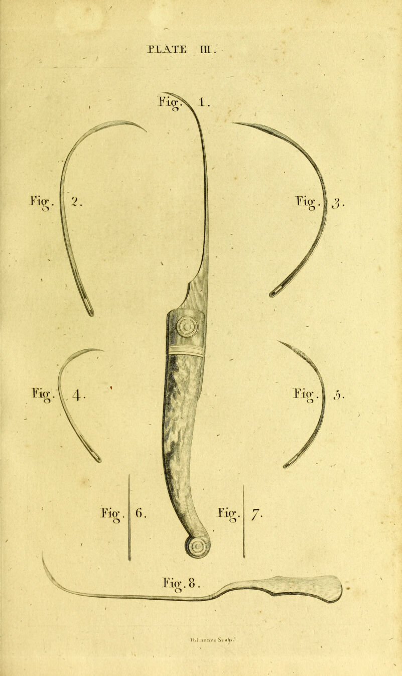 TXATE nr. Rg. [ 2. Fig-\\, 4- ).l .ly.ni-s Si iilp-'