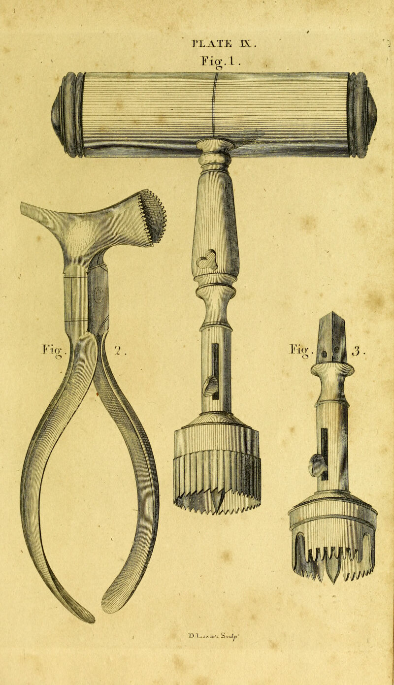 Fig.l. Scaly.’