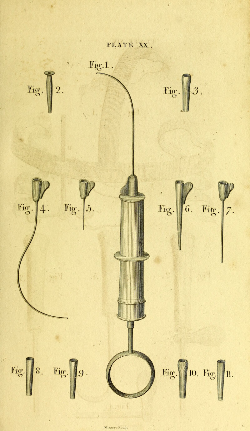 PJLATE XX;. Jm-.l. ■Fig. ||x3. Iig.||6. Eig. 7. Eig .ll/i 10. .Fig. 11.