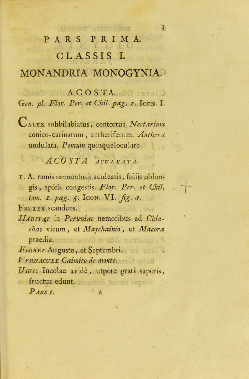 M X PARS PRIM A. CL AS SIS I. MONANDRIA MONOGYNIA ACOSTA. Gen. pi. Flor. Per. et Chil. pag. i. Icon. I. Calyx subbilabiatus, contortus. Ffectarium conico-carinatum , antheriferum. Anthera undulata. Pomum quinqueloculare. ACOSTA ACULEATA. I. A. ramis sarmentosis aculeatis, foliis oblon- gis, spicis congestis. Flor. Per. et Chil. tom. i. pag. g. Icon. VI. Jig. a. Frutex scandens. Habitat in Peruviae nemoribus ad Chin- cliao vicum , et Maychainio, et Mac ora praedia. Floret Augusto, et SeptembrL Fernacute Caimito de monte. TJsus: Incolae avide, utpote grati saporis, fructus edunt.