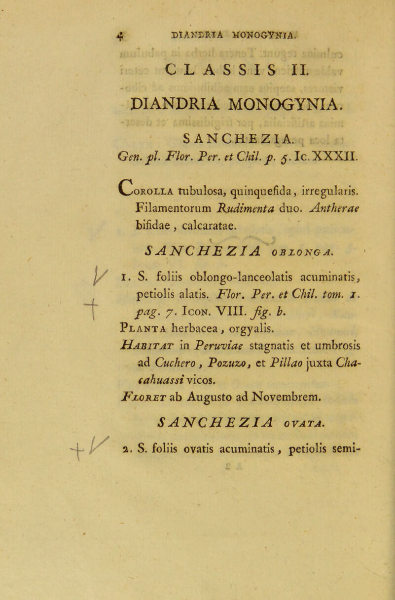 y C L A S S I S II. DIANDRIA MONOGYNIA. S ANCHEZ1A. Gen. fl. Flor. Per. et CHI. f. 5. Ic. XXXII. Corolla tubulosa, quinquefida, irregularis. Filamentorum Rudimenta duo. Antherae bifidae, calcaratae. SANCHEZ1A ob long a. 1. S. foliis oblongo-lanceolatis acuminatis, petiolis alatis. Flor. Per. et Chil. tom. 1. pag. 7. Icon. VIII. fig. b. Planta herbacea, orgyalis. Habitat in Perwviae stagnatis et umbrosis ad Cuchero , Pozuzo, et Pillao juxta Cha- eahuassi vicos. Floret ab Augusto ad Novembrem. SANCHEZIA ovata. 2. S. foliis ovatis acuminatis, petiolis semi-