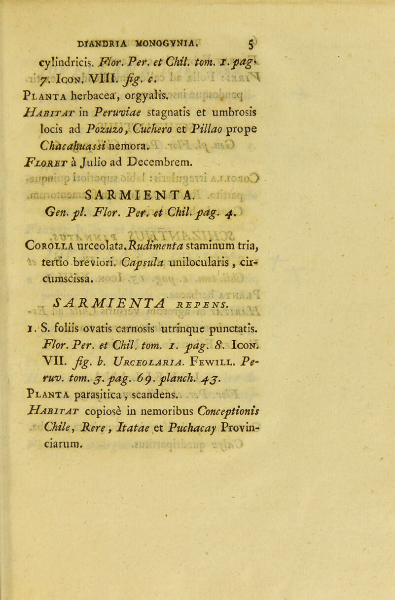 cylindricis. Flor. Per. etChil. tom. i.fag* 7. Icon. VIII. jig. c. ^ Pi. ANT a herbacea', orgyalis. -q Habitat in Perwviae stagnatis et umbrosis locis ad Pozuzo, Cuchero et Pillao prope Chacahuassi nemora. Floret a Julio ad Decembrem. : 'Oi 1 i: .• k;'\' [ :.\:rr • ':i M :' ,' cO SARMIENTA. Gen. fl. Flor. Per. et Chil. fag. 4. r • V j J ‘ X, A. . v .K Corolla utceohta.Rudimenta staminum tria, tertio breviori. Cafsula unilocularis, cir- cumscissa. 1 ■ SARMIENTA RE PE NS. 1; • i t * -1. . I. S. foliis ovatis carnosis utrinque punctatis. Flor. Per. et Chil. tom. 1. fag. 8. Icon. VII. Jig. b. XJrceolaria. Fewill. Pe- ruv. tom. 3. fag. 6g.flanch. 43. Planta parasitica, scandens. Habitat copiose in nemoribus Conceftionis Chile, Rere, Itatae et Puchacay Provin- ciarum.
